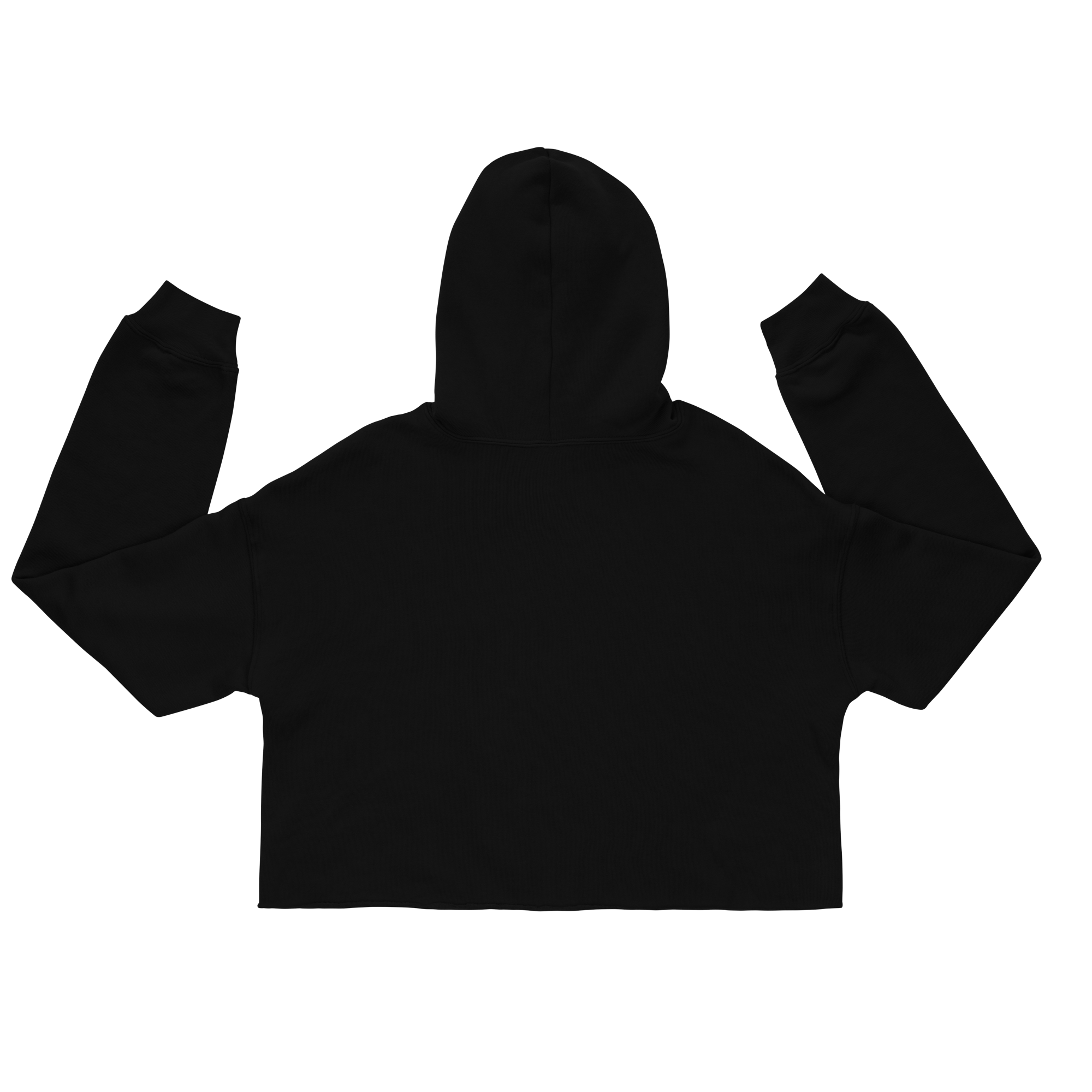 womens-cropped-hoodie-black-back-69399cd7a06e2.png