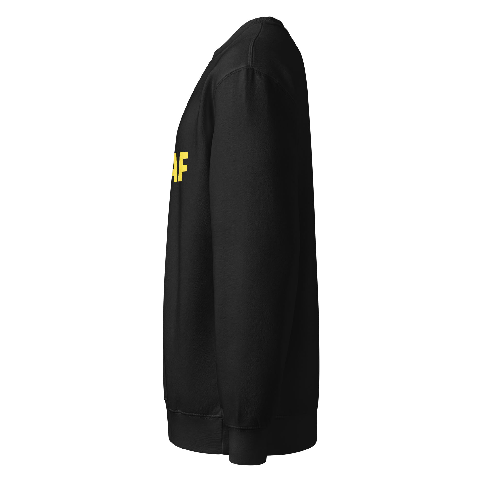 unisex-premium-crew-neck-sweatshirt-black-left-69399eb060409.png