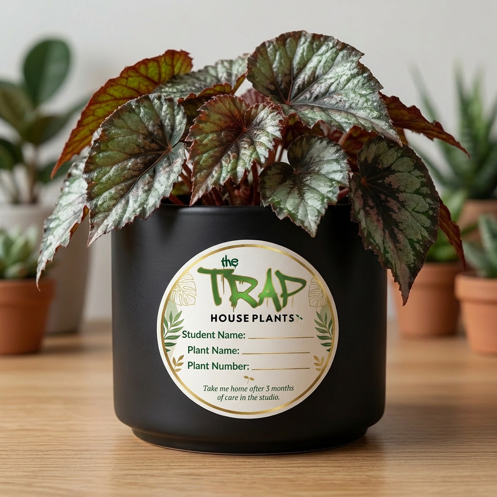 The Trap Yoga & Massage Studio
