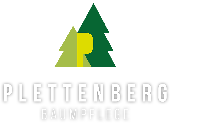 Plettenberg Baumpflege – der ökologische Baumpflegebetrieb