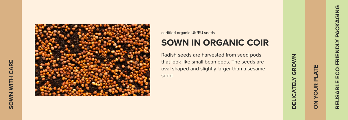 SKU03a Radish microgreens sown in organic coir.png