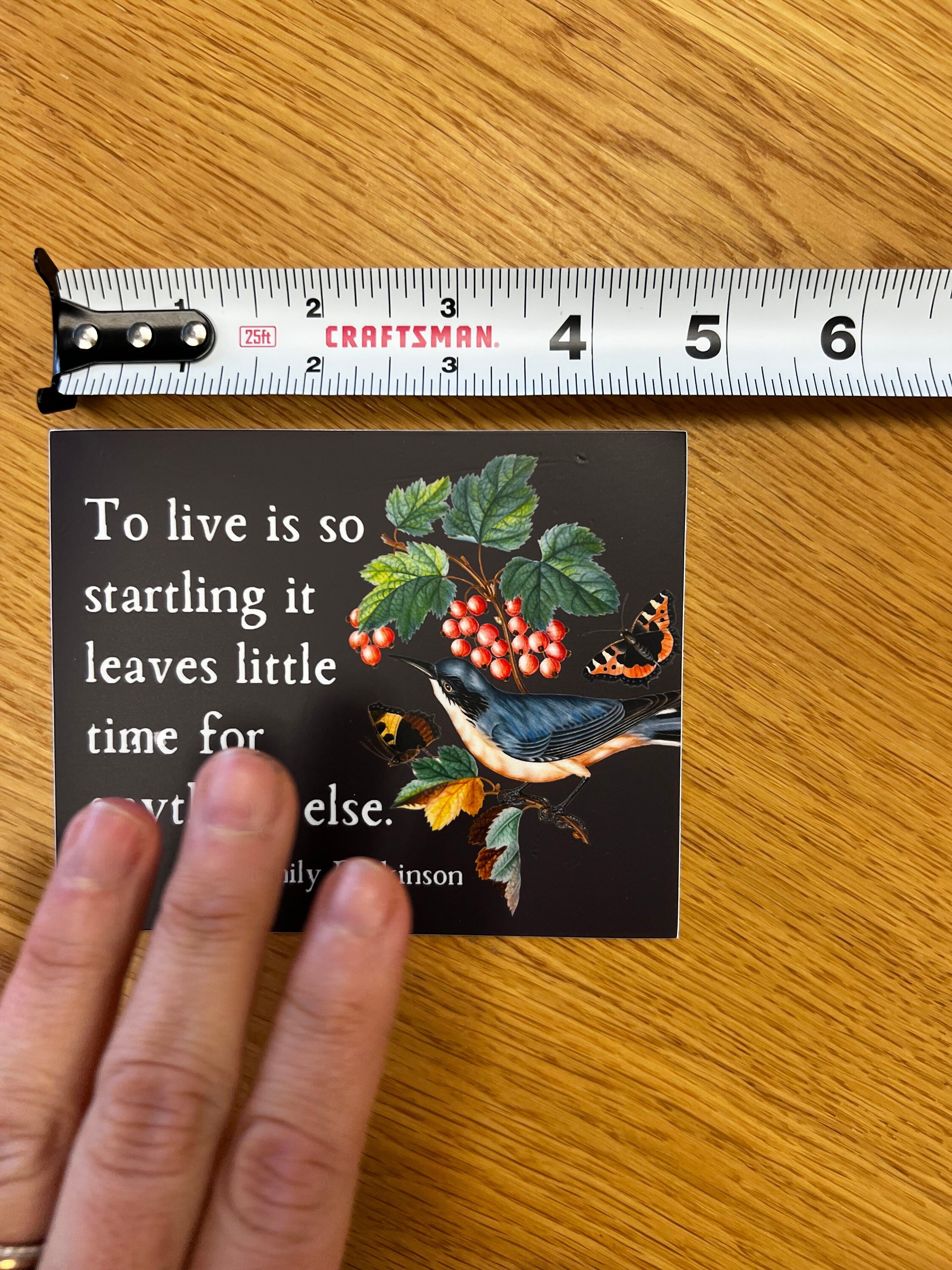 https://i.etsystatic.com/11626812/r/il/cddfaf/4572708822/il_fullxfull.4572708822_h0nk.jpg