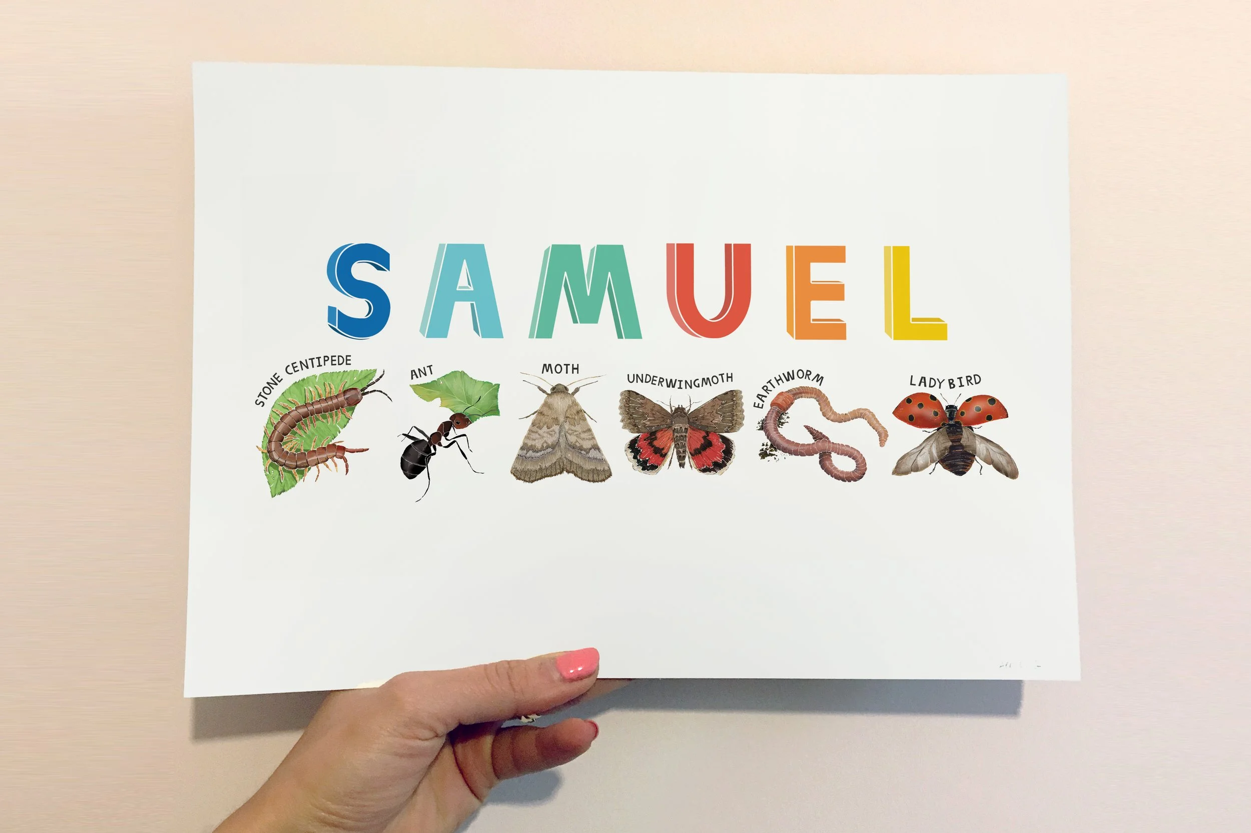 Hand photo-insect.jpg