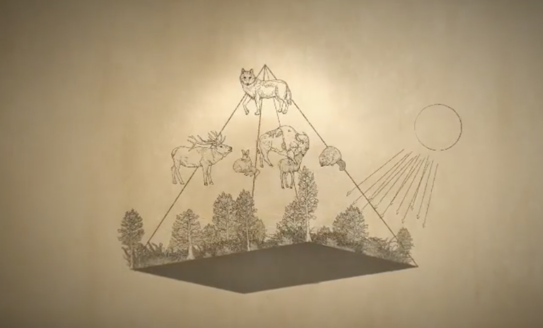 See video in instagram link below