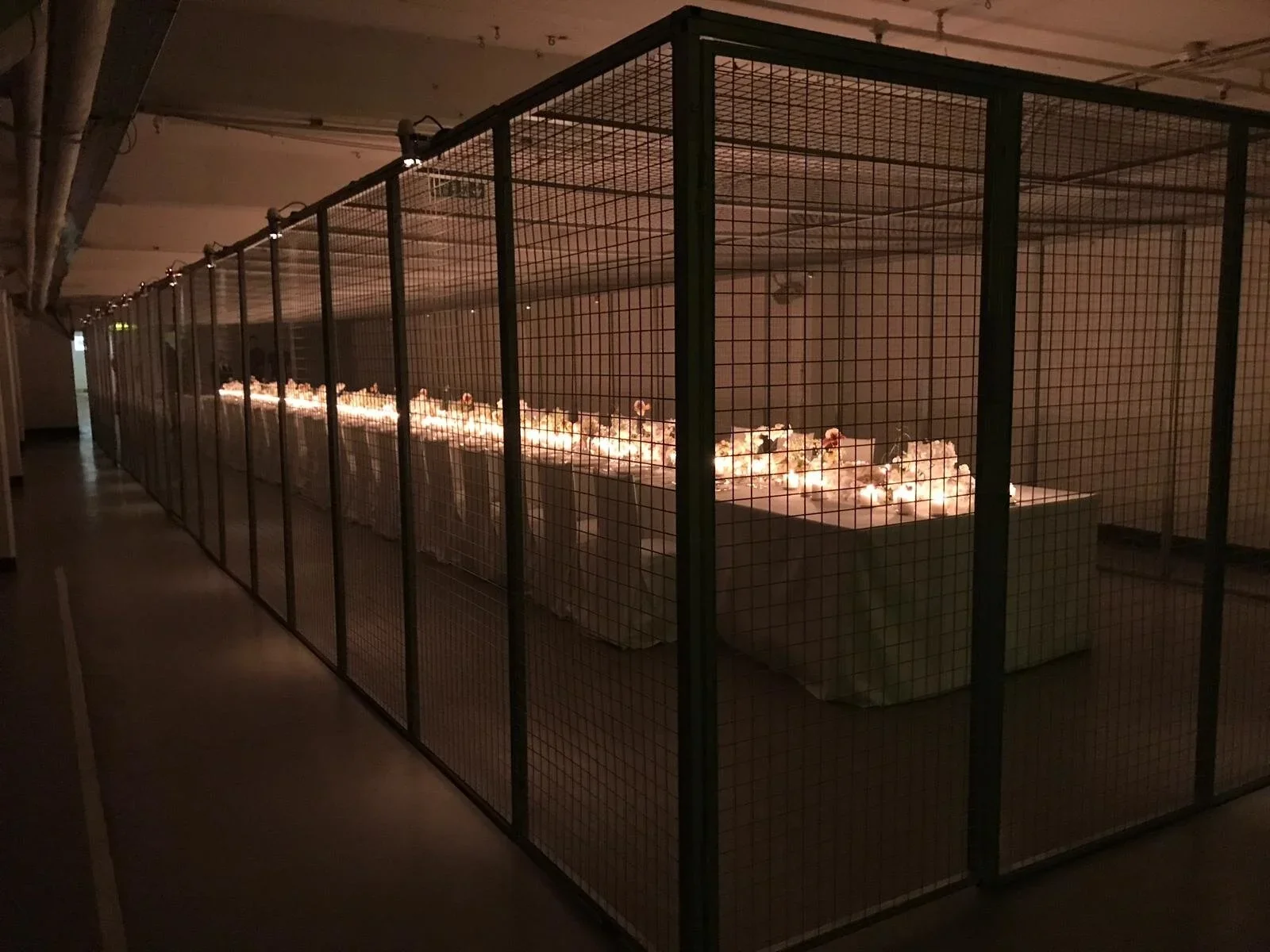 Burberry Dinner Experience 