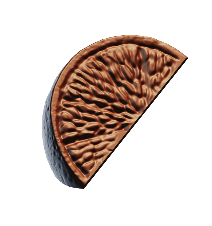 orange slice.png