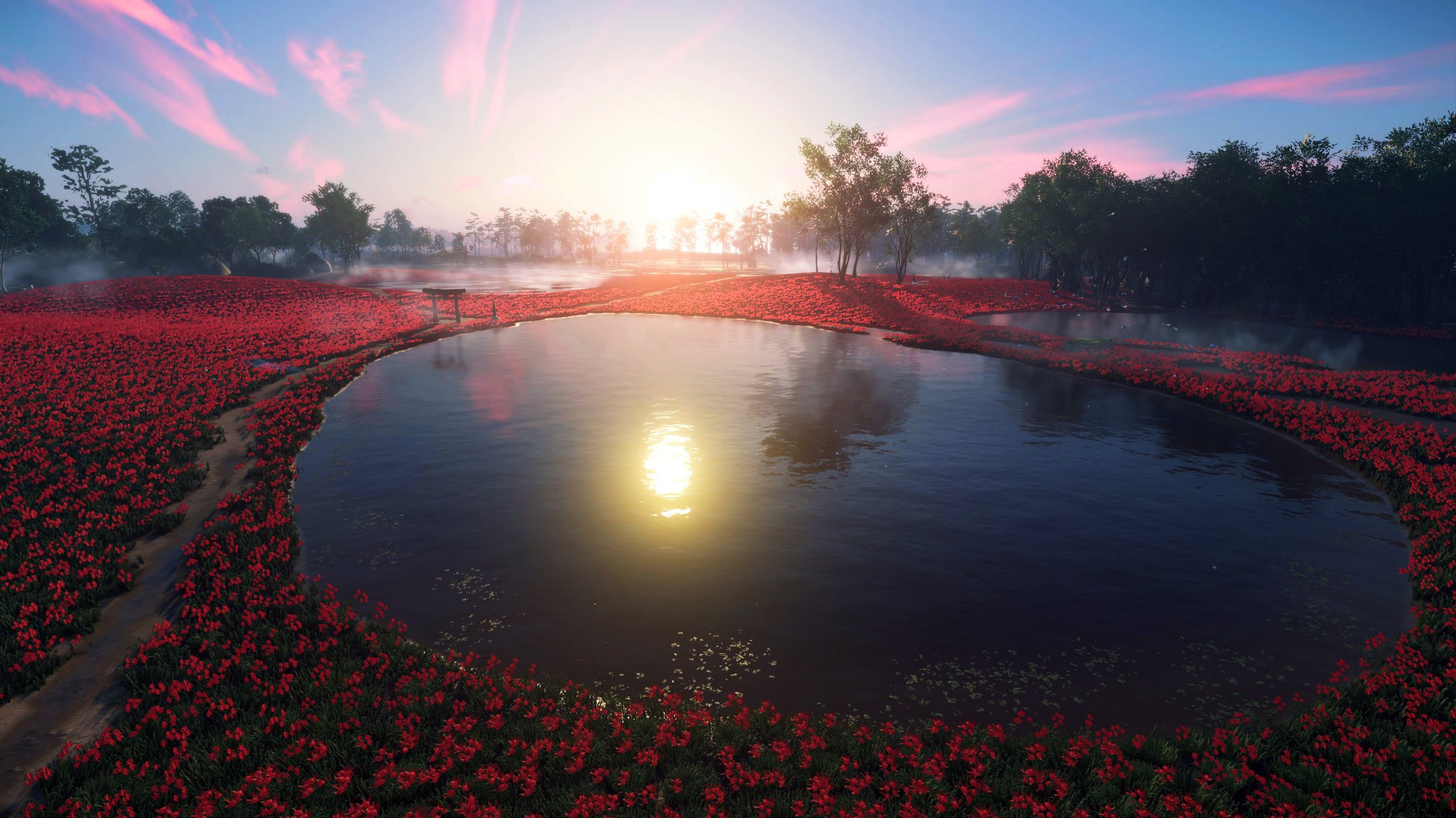 Red Flower Field Edit.jpg