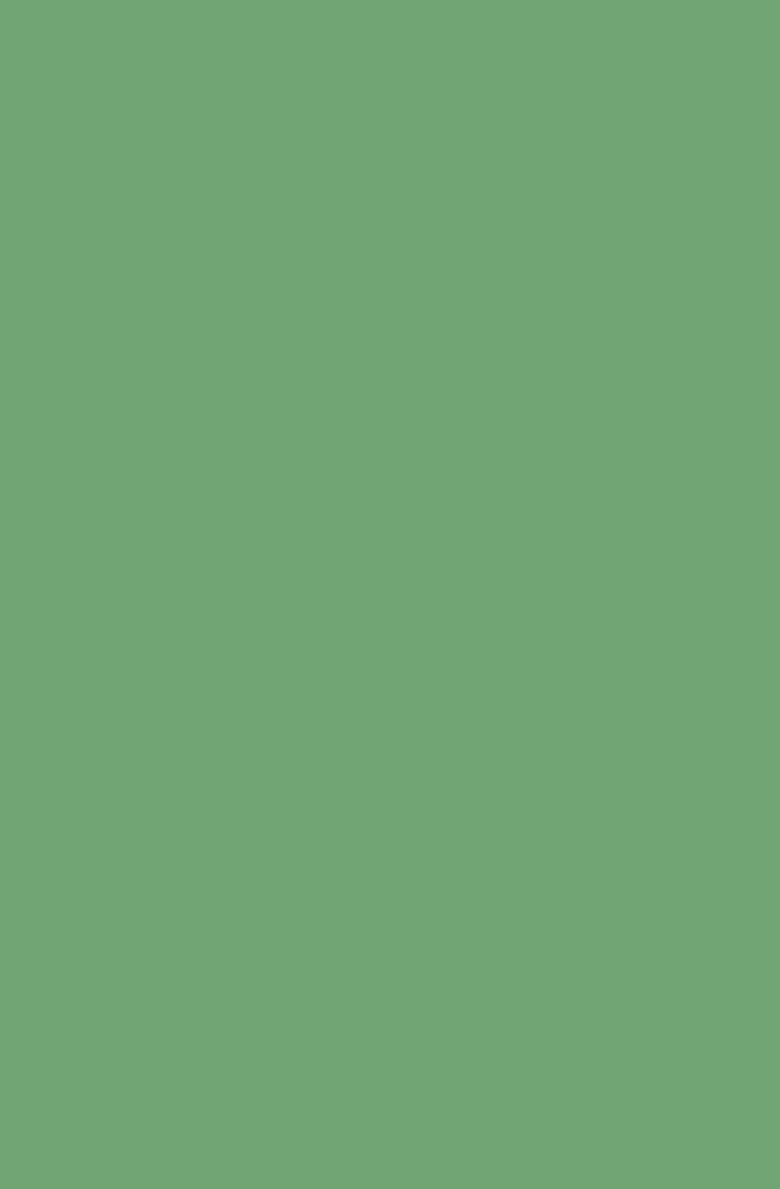 TVS new cover blanks solid8.jpg