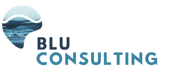 Blu Consulting