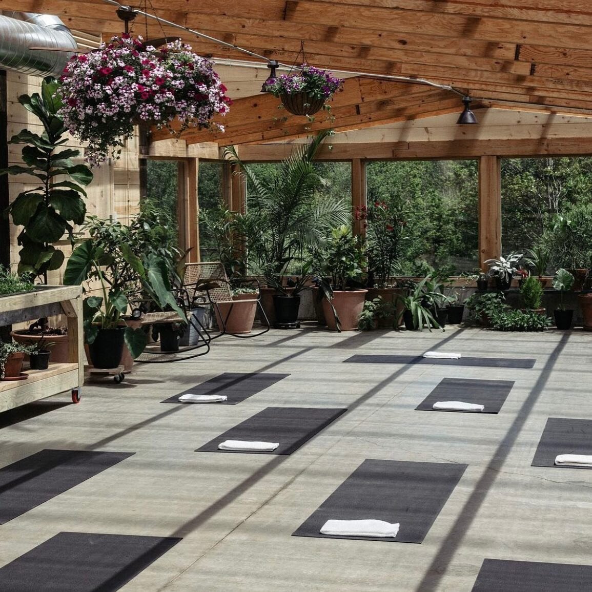 Sunday Morning Yoga? COUNT ME IN! 

Meet us and @leeanna.maniace here at 10am Sunday Morming for a session! Free for inn guests, $20 for the public! 

DM or call (845) 439-5070 to sign up. 
#yoga #yogalesson #catskills #livingstonmanor #thearnoldhous