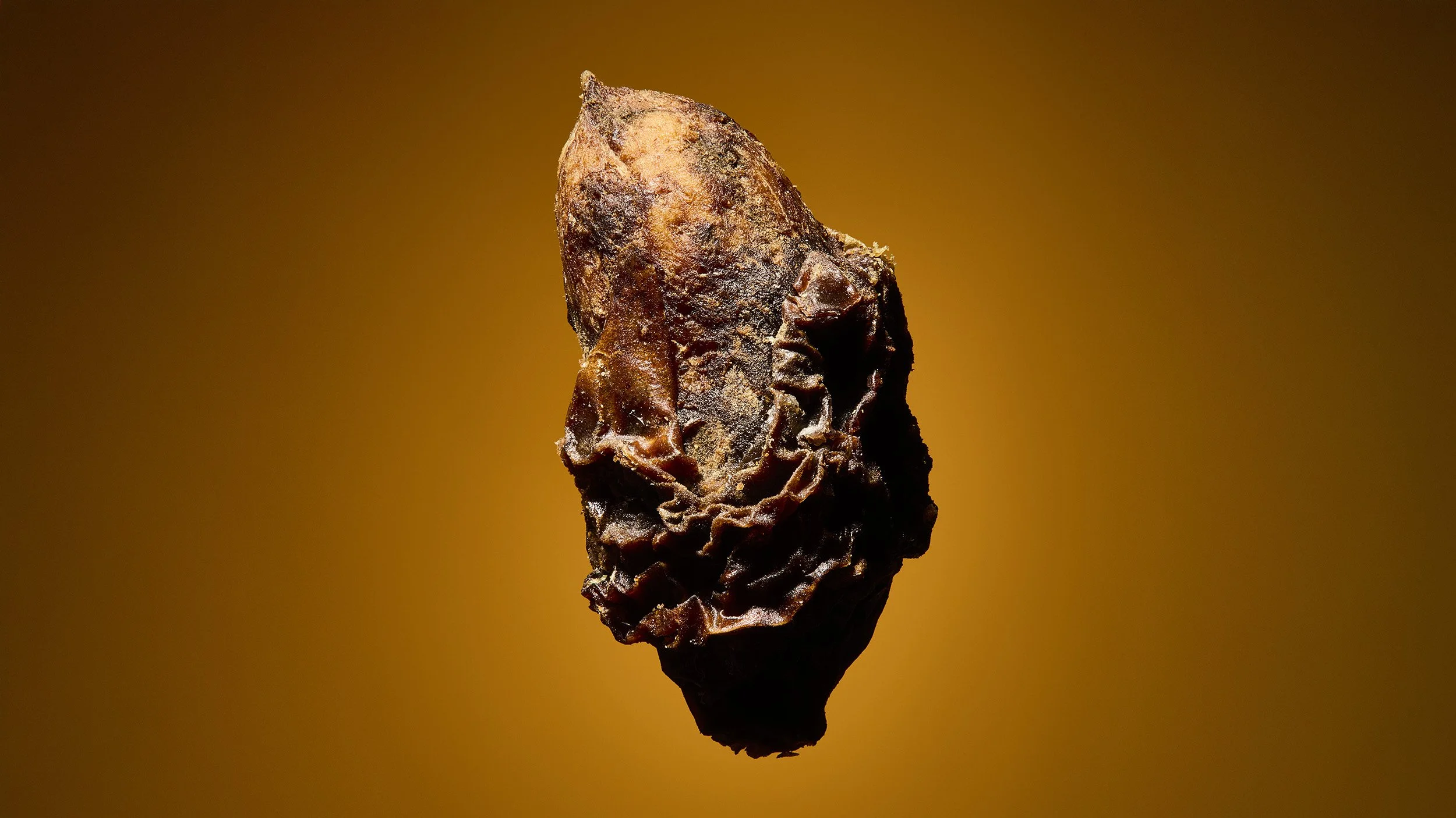 Detailed macro photograph of an olive pit with some dry grizzled flesh remaining. The background is a vignetted rich, warm colour.