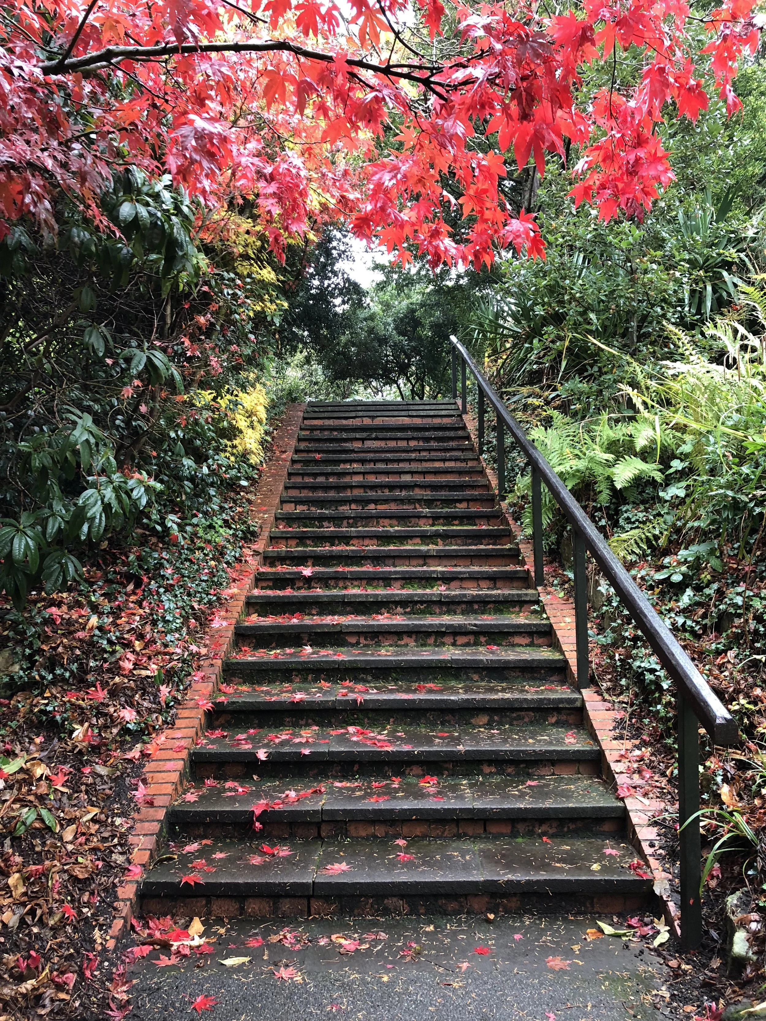 churchill-gardens-stairs.jpeg