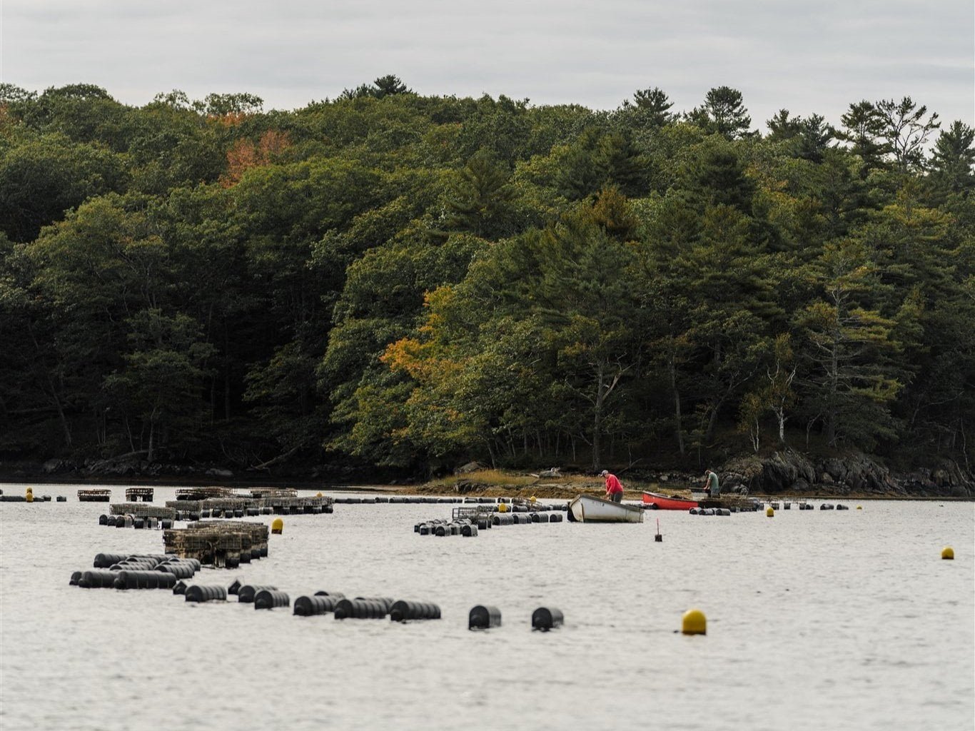 Fresh and Local Food Maine