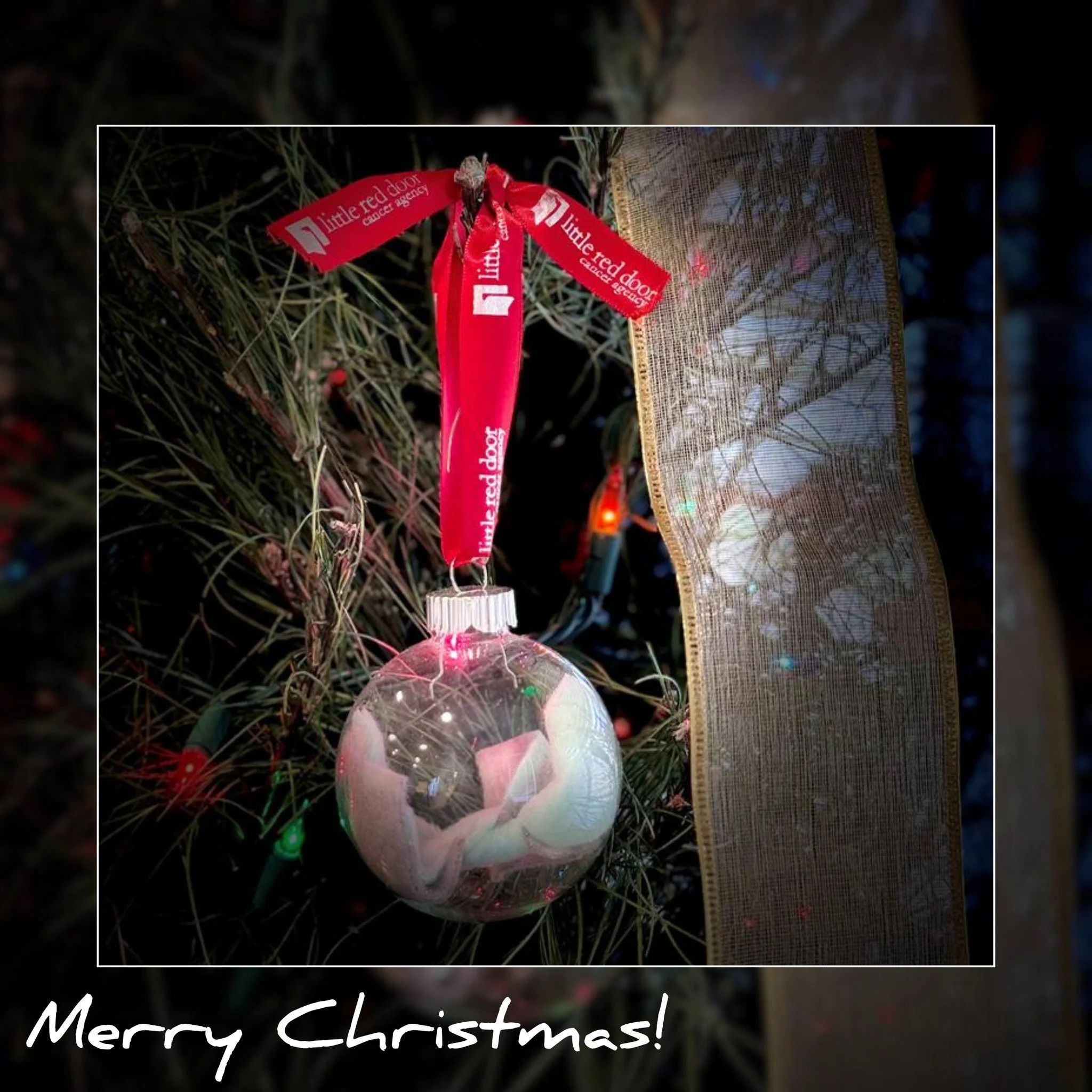 Merry Christmas from all of us here at Little Red Door!

We wish a festive, cheerful, and cozy Christmas to all who celebrate!