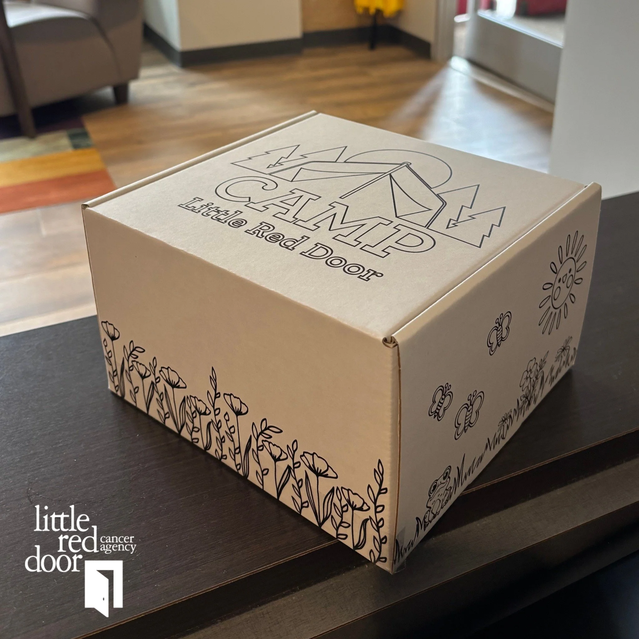 At Little Red Door, we make the most of life and the least of cancer for people of all ages. 

Alongside Camp Little Red Door and Camp in the City, we offer Beyond the Woods programming. Beyond the Woods help provide campers opportunities to connect 