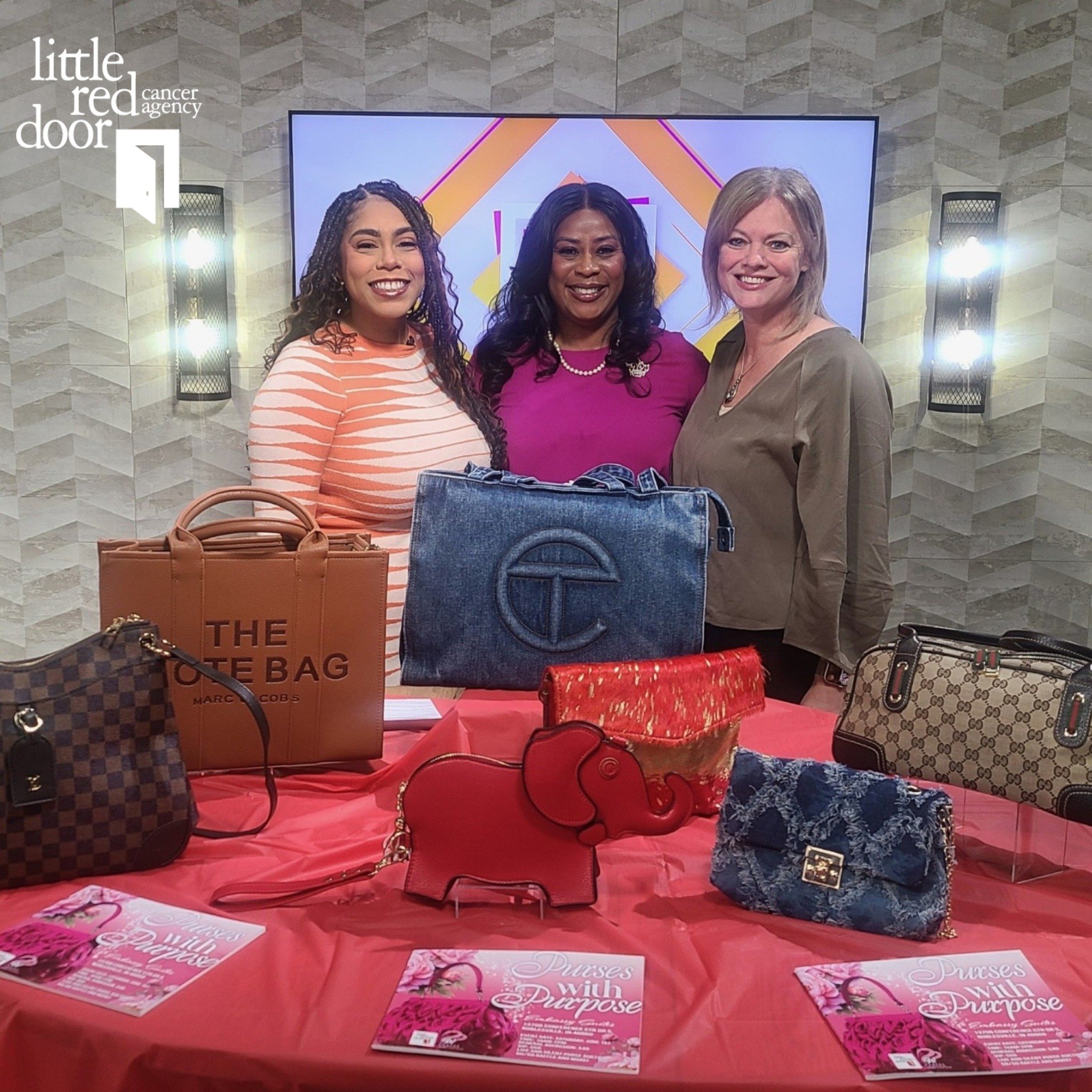 Purses with Purpose is back for their 8th annual live and silent purse auction where a portion of the proceeds will benefit Little Red Door Cancer Agency. The event will feature a live auctioneer, male purse models, a delicious brunch, and courageous