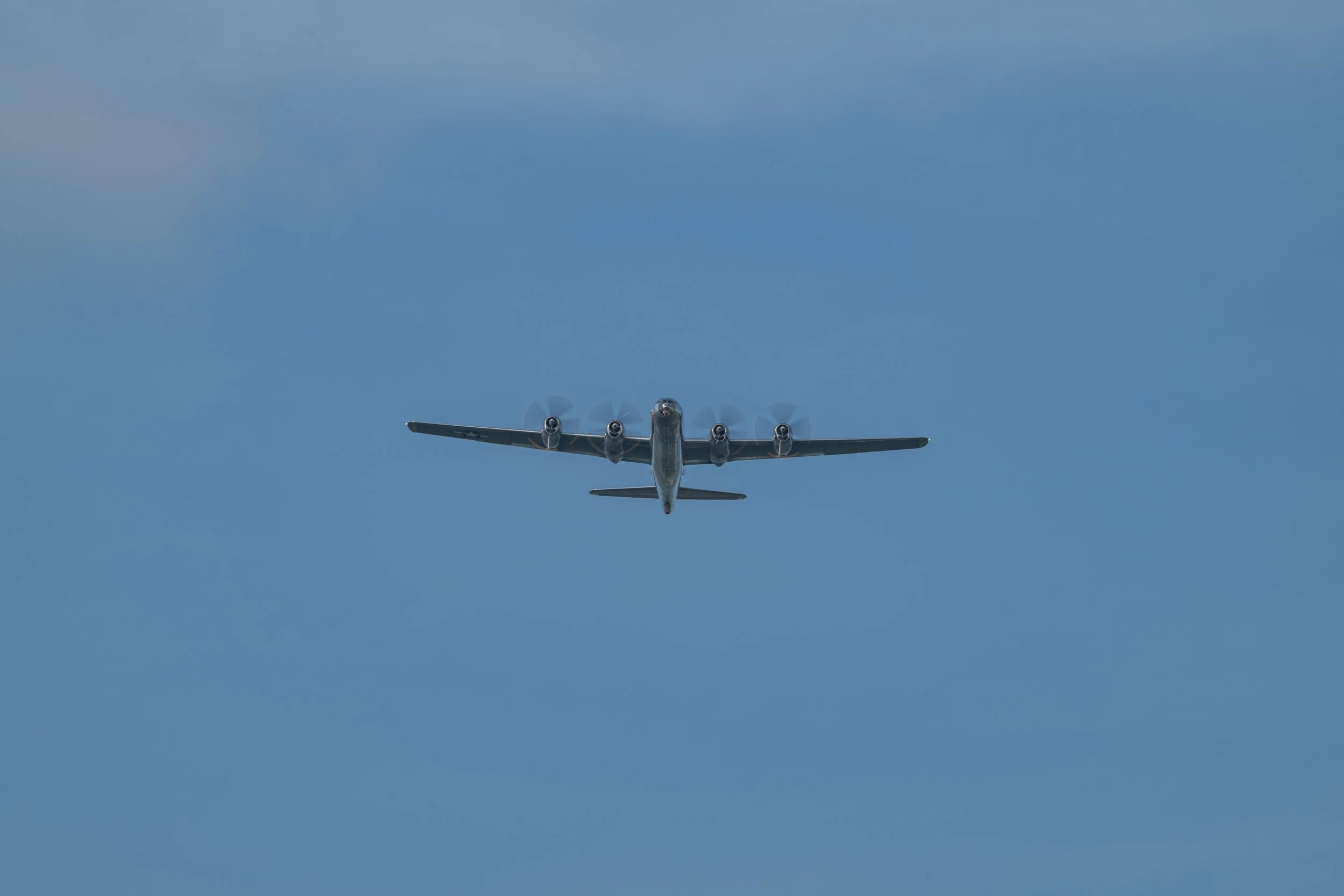 _NZ88320.jpg
