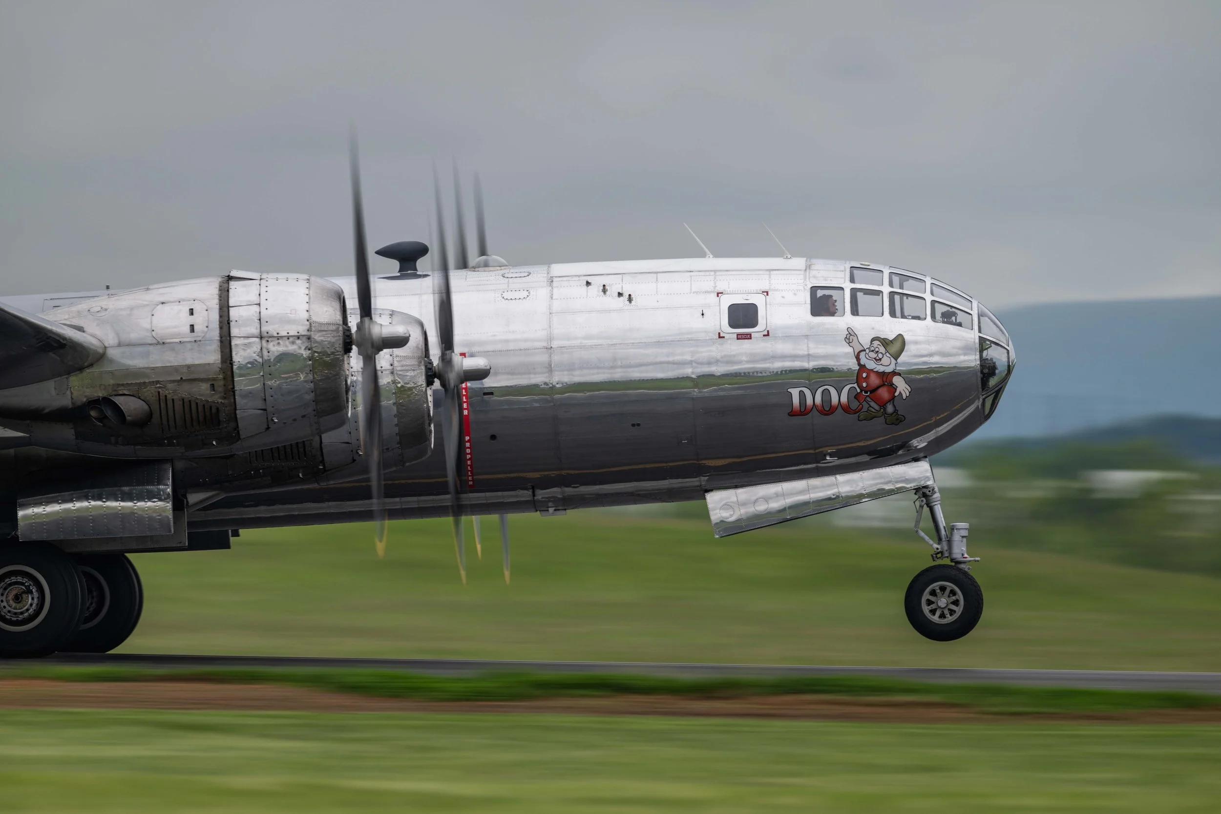 _NZ83213_1.jpg