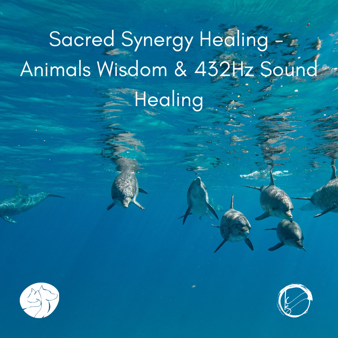 Sacred Synergy Healing - Animals Wisdom & 432 Hz Sound Healing