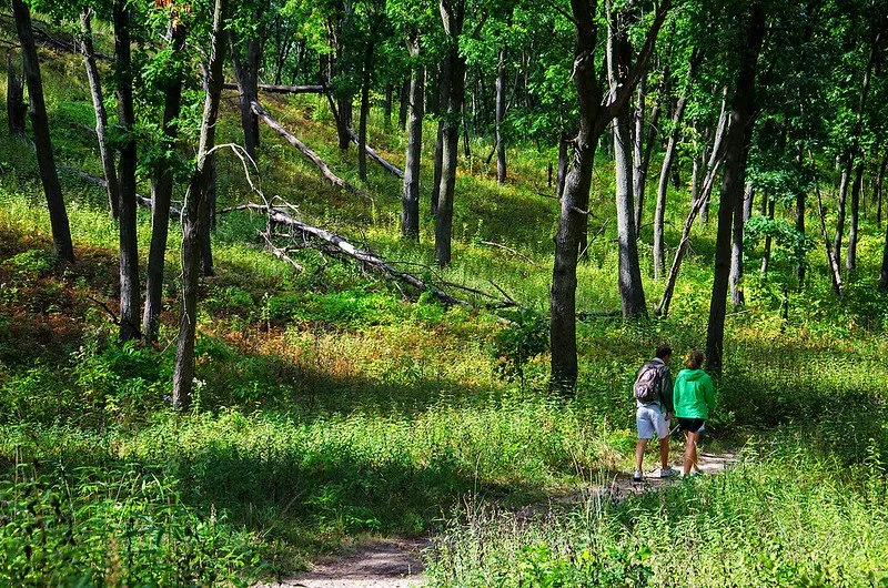 Monday Trail Spotlight: Cowles Bog Trail
