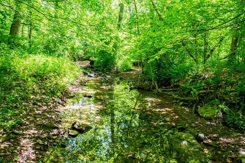Monday Trail Spotlight: Hemlock Cliffs