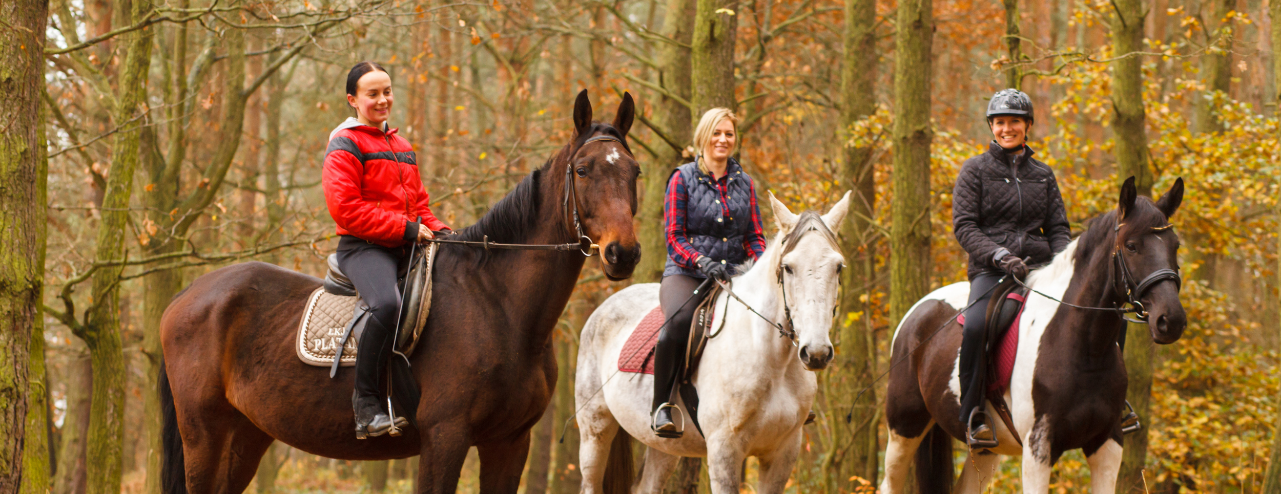 Monday Trails Spotlight: The Birdseye Trail at Hoosier National Forest