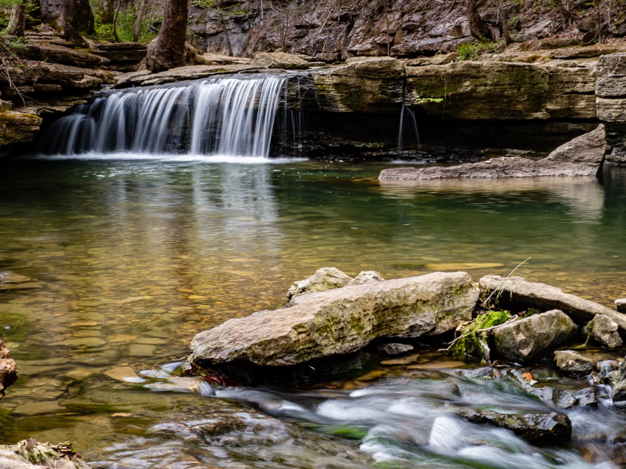 November Trails Spotlight: Nine Penny Branch Nature Preserve
