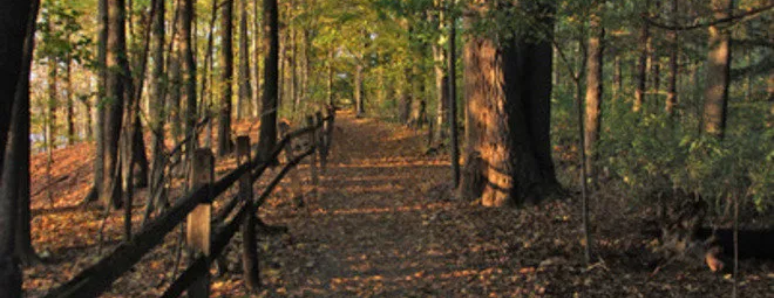 Greenways Foundation Announces $82,000 in Trail Grants Supporting Projects Across Indiana