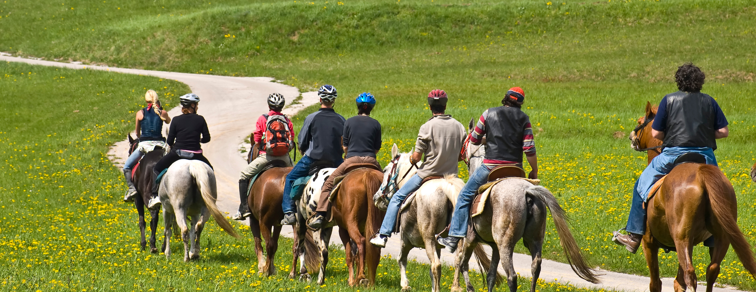 How to Start a Trail Organization: Blazing a Path to Conservation and Adventure