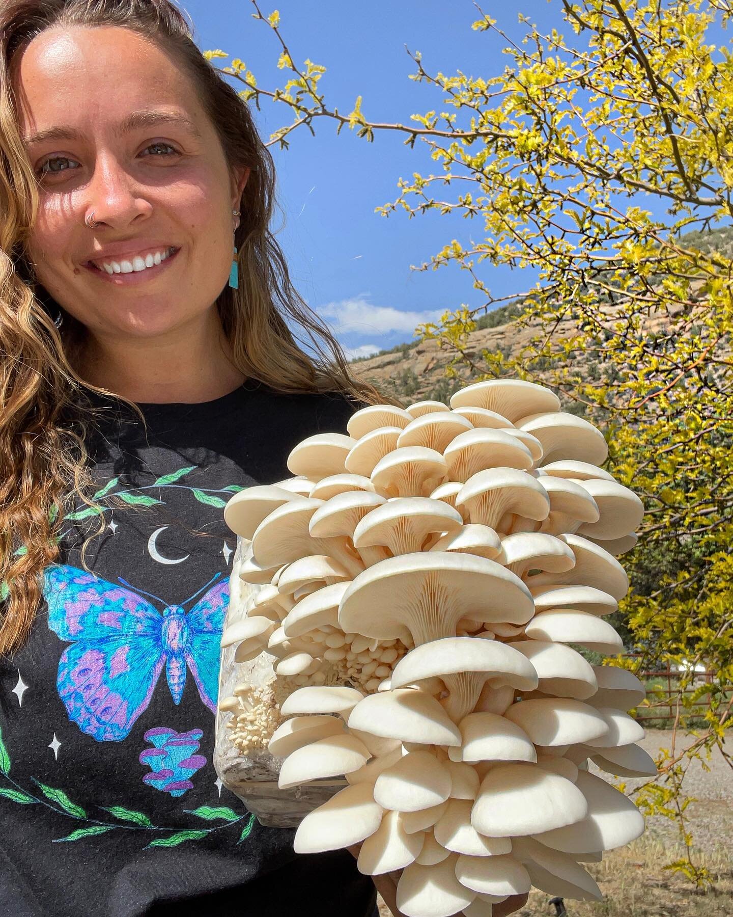 Monsoon season came a little early this year,  hopefully the rain keeps on comin&rsquo;! ⛈Our mushrooms sure are loving the cooler temps &amp; humidity. 
~~~~~~~~~~~~~~~~~~~~~~~~~~
#mushroomfarm #coloradomushrooms #durangofarmersmarket #coloradoproud