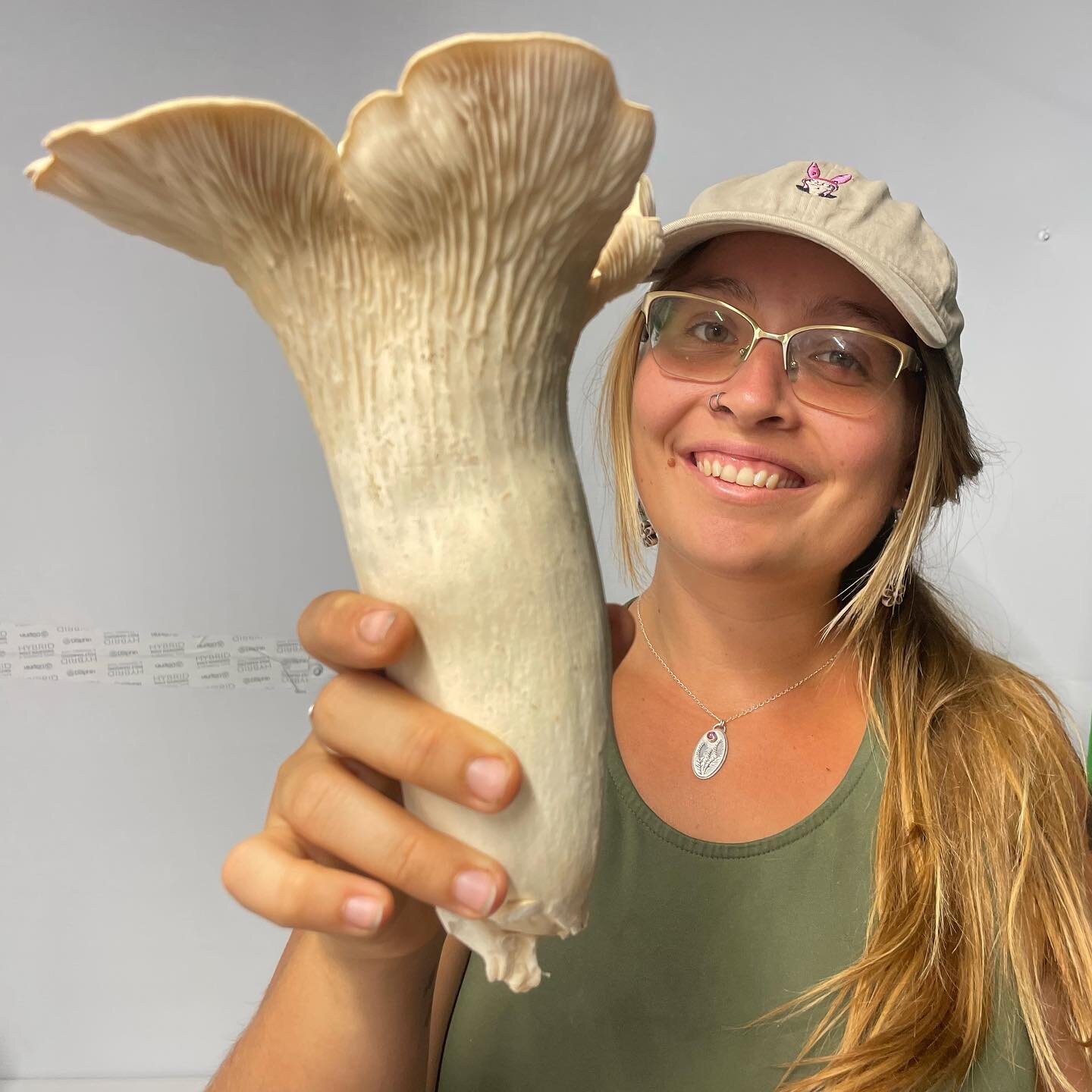 Happy Mushroom Monday! Harvested a huge king trumpet this morning🤯🍄