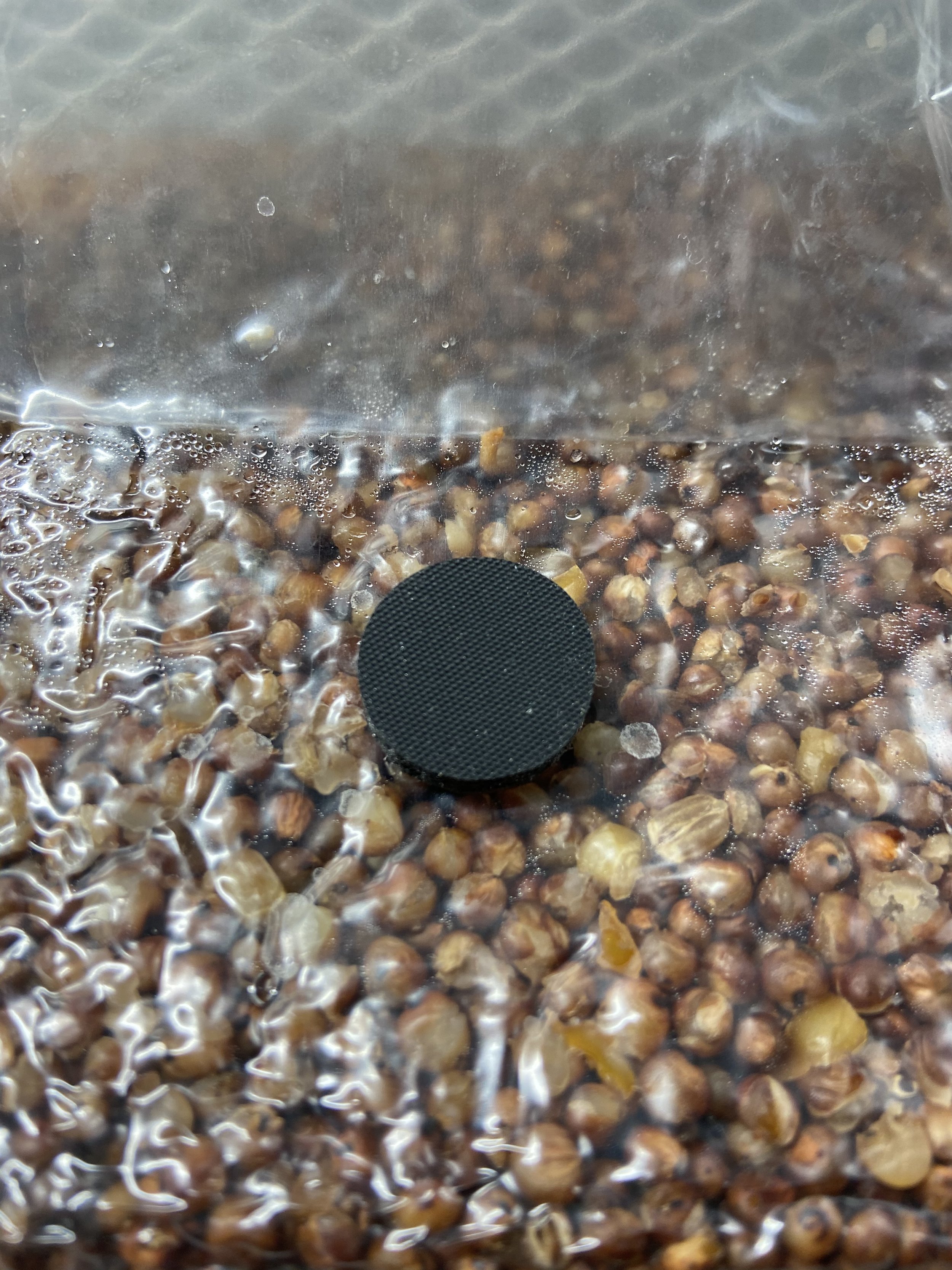 grainSHIP.jpeg
