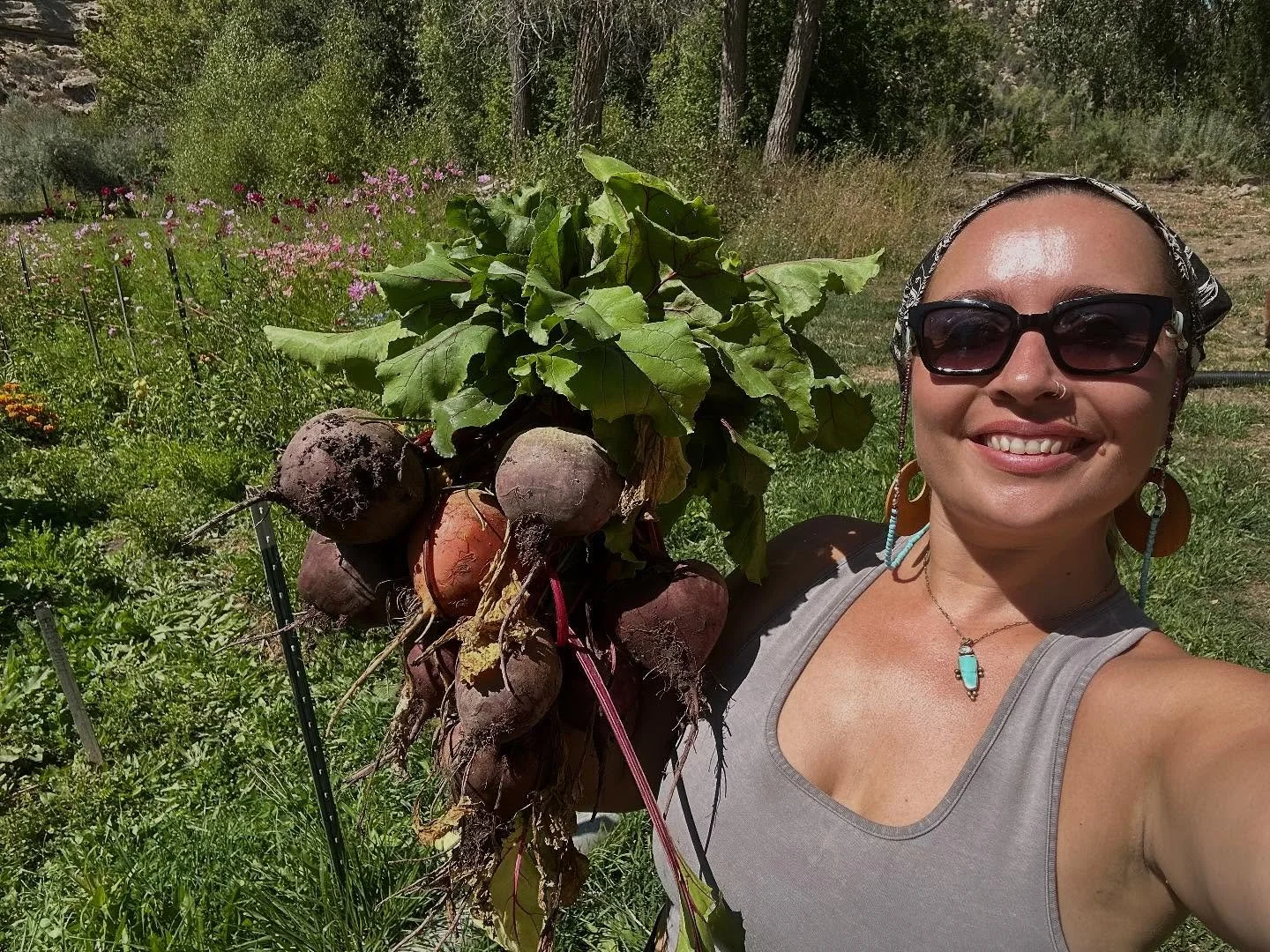 Sunday Funday of Harvesting &amp; Preserving from the field 🍅🥕🥒🫜🍆🥬🌶️💚🌱✨

#organicfarm #homestead #coloradofarm #durangocolorado