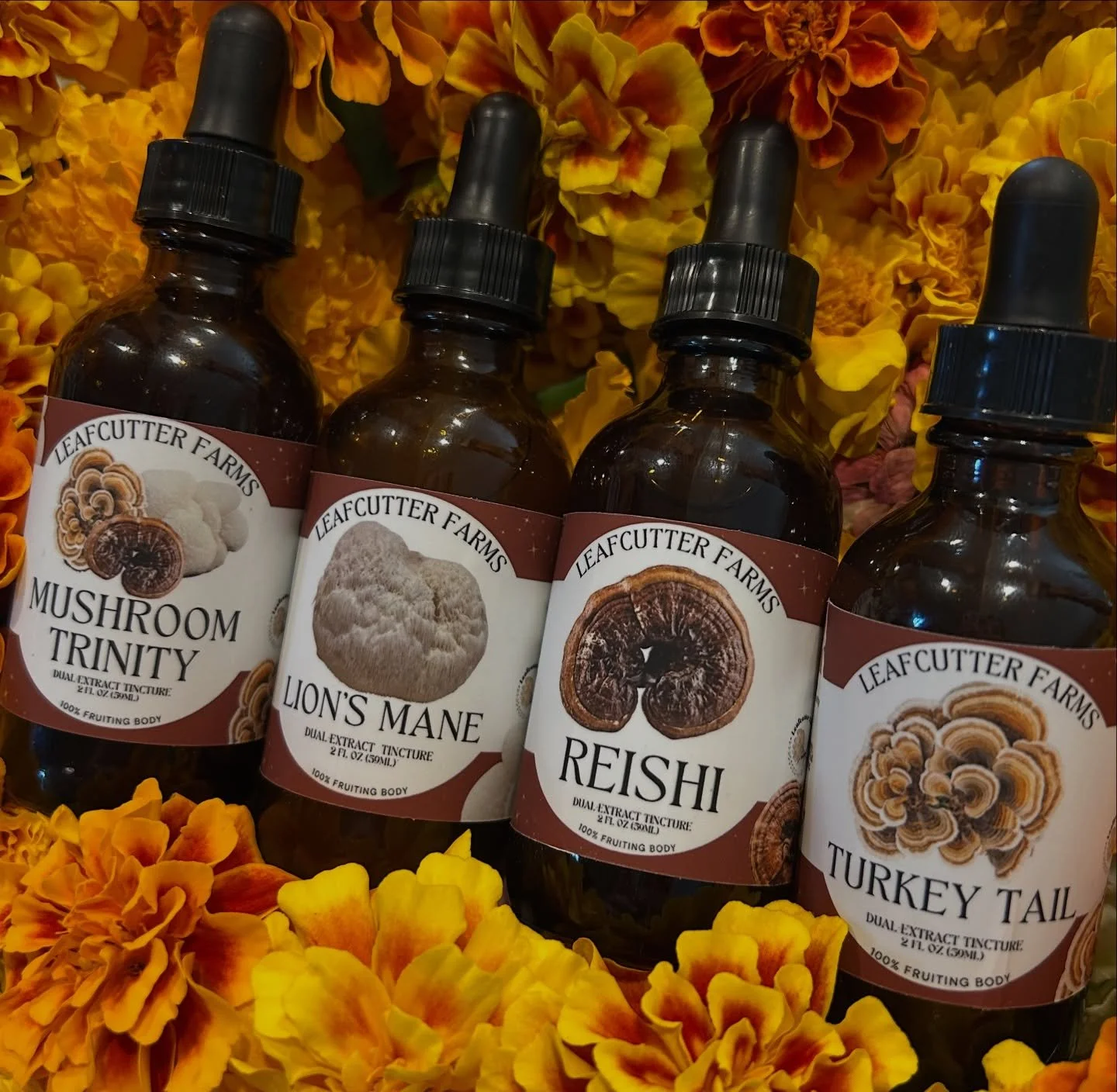 Happy Small Business Saturday! ❤️🍄&zwj;🟫
We&rsquo;re so grateful for every bit of love you show our little farm. To show our appreciation we&rsquo;re running a SALE till Monday evening! Use the code: THANKYOU10 to save 10% off your order! 

We&rsqu