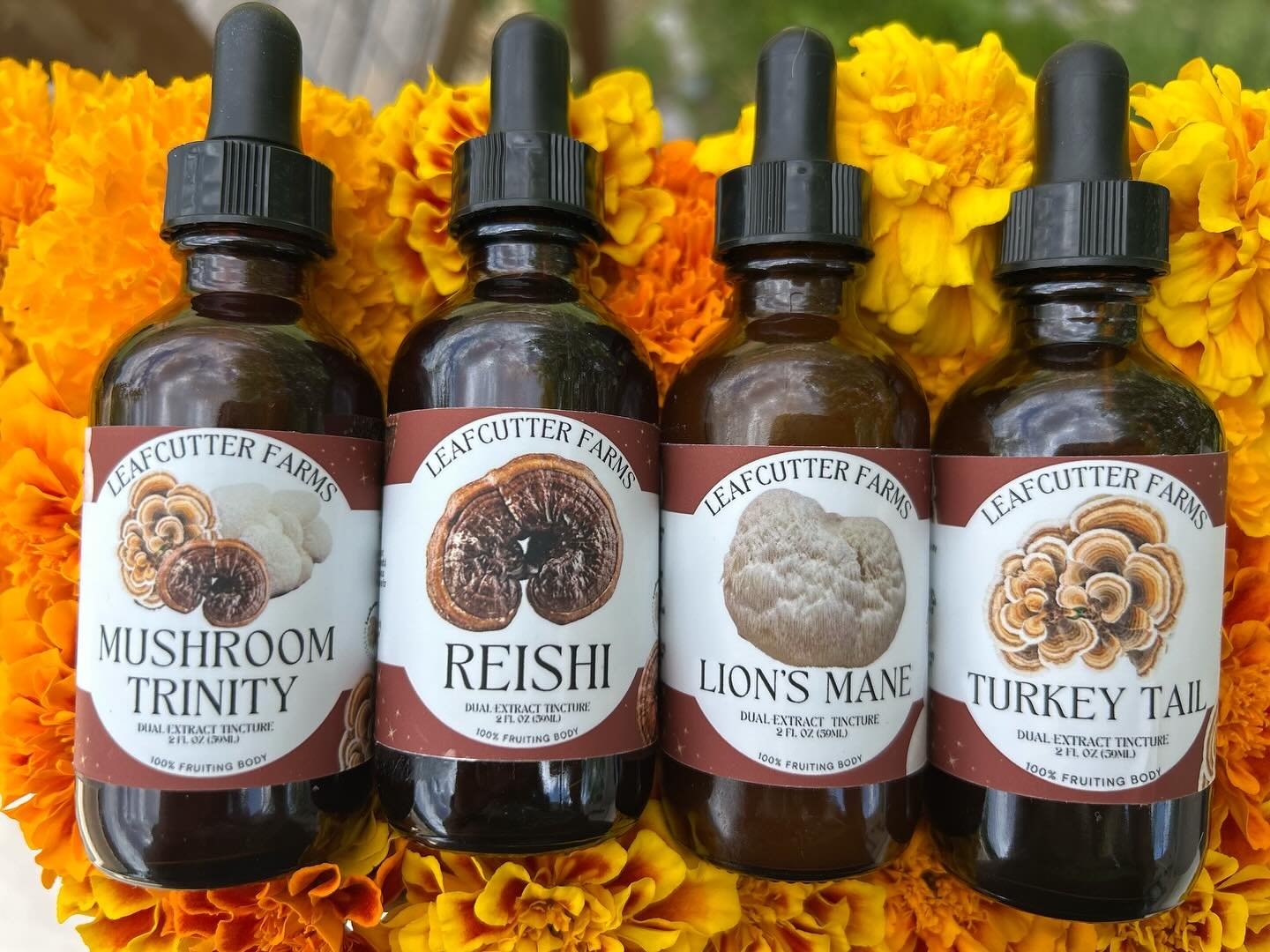 Label upgrade 💓🍄&zwj;🟫 We&rsquo;ve been designing these for couple of months now and are so excited to finally share them with you all!! Swing on by @durangofarmers market tomorrow to buy in person or order some online through our online store! (l