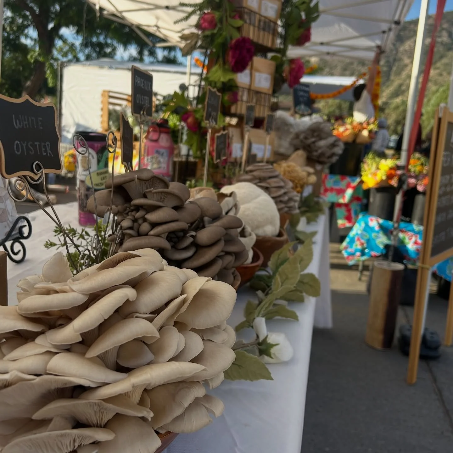 Saturday is the FIRST MARKET OF THE 2026 SEASON 🥰 from 8-12 you can find us on main st. between 10th st &amp; 11th st across from cream bean berry! We can&rsquo;t wait to see you &amp; kick off the first market with second Saturday&rsquo;s on main! 