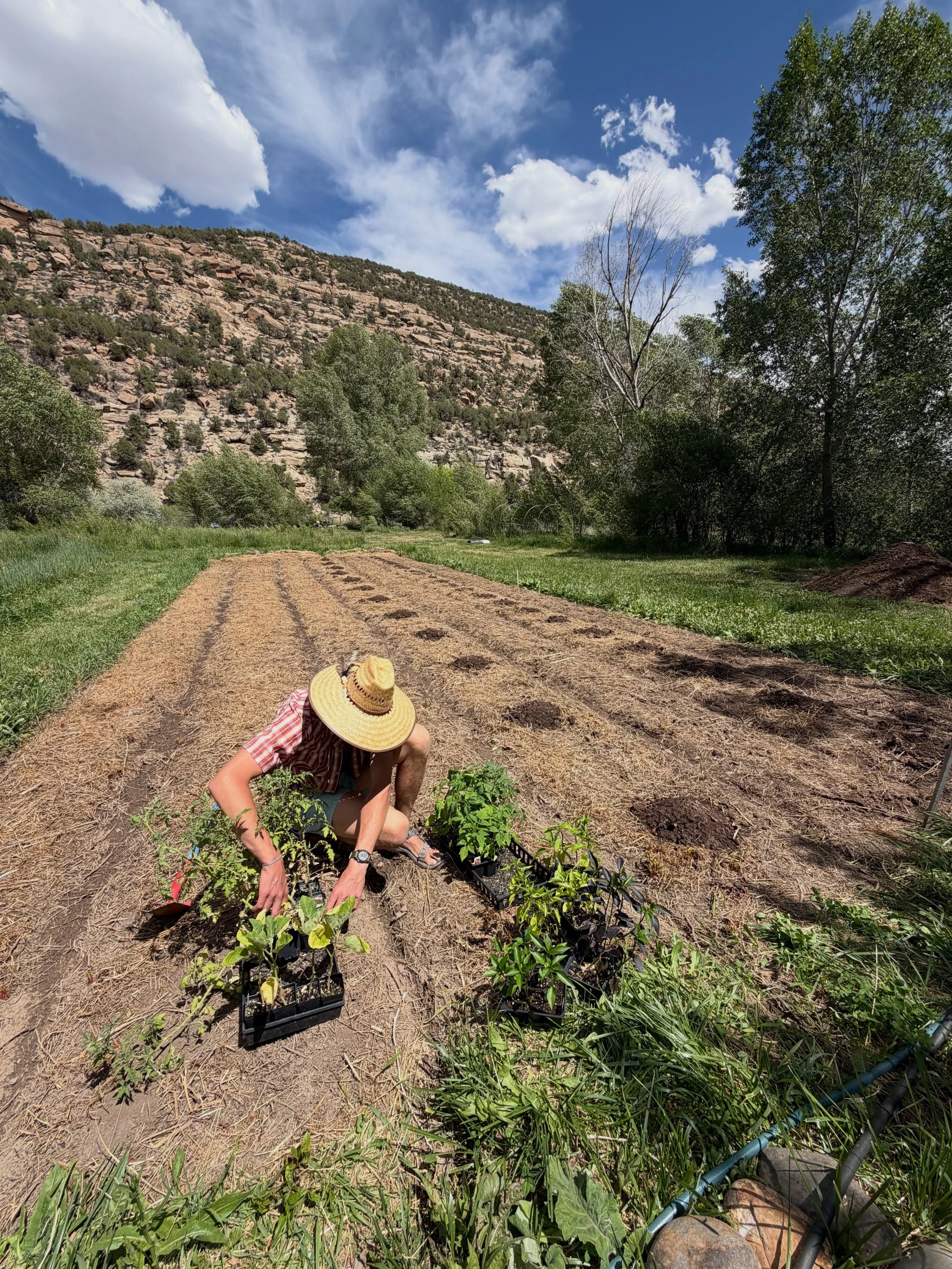Today was a BIG day on the farm 🌱💪 We&rsquo;re almost done planting &amp; seeding in the field and honestly&hellip; our backs may never recover 😂💚

The ground is officially full of:
🍅 Tomatoes
🧅 Onions
💛Spaghetti squash
🧡Butternut squash
💚 H