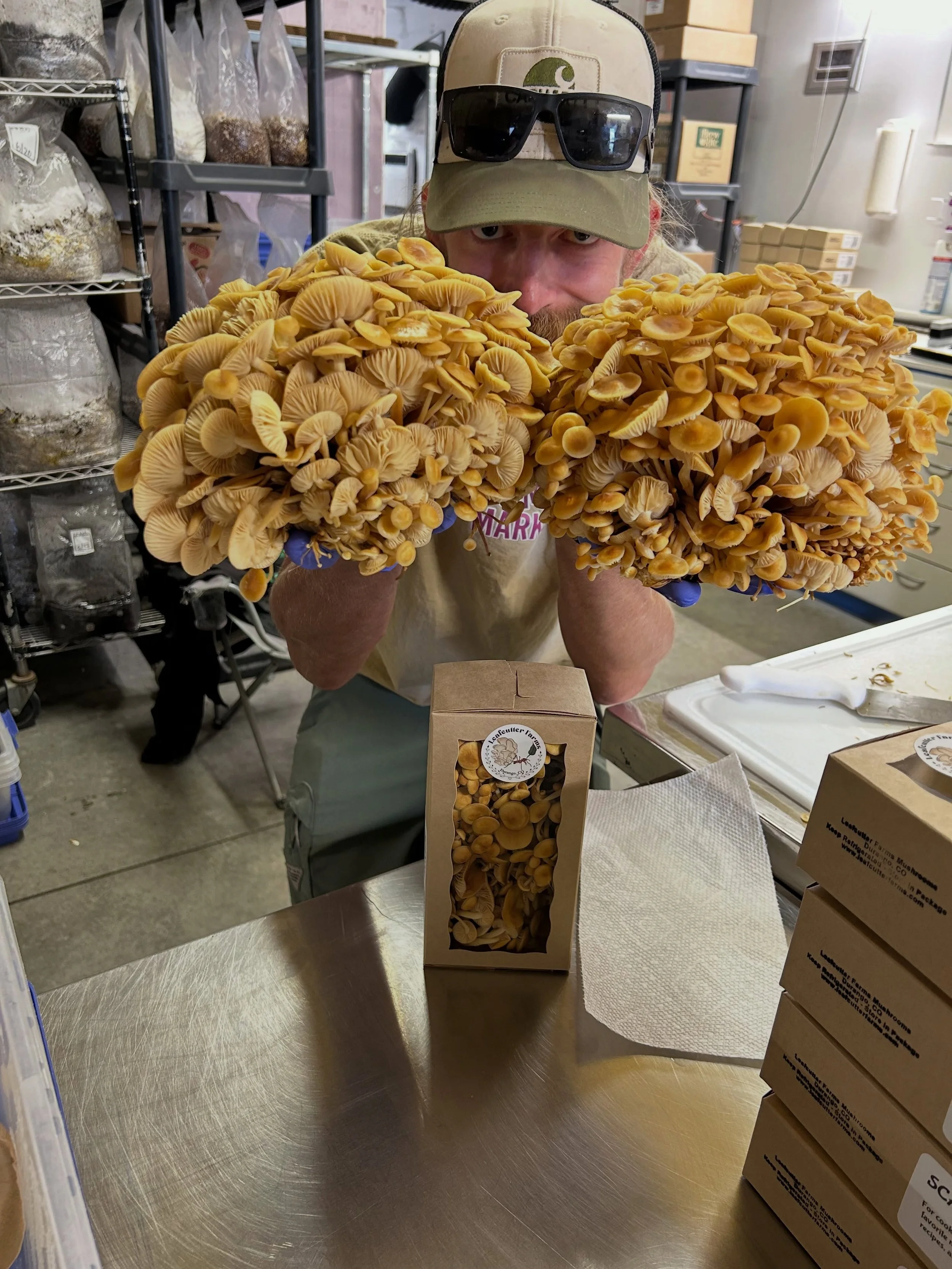 We&rsquo;re back on 10th &amp; Main this Saturday for the @durangofarmers market 🍄&zwj;🟫 Come grab some fresh mushrooms, stock up on your favorite tinctures and seasonings, and enjoy a beautiful day downtown.

And if you&rsquo;re looking for joy in