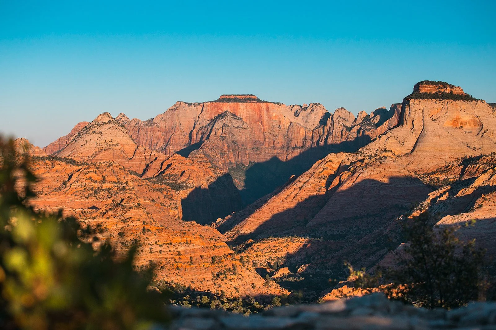 Zion & Springdale Guide Jobs & Careers — ZION GUIDE HUB