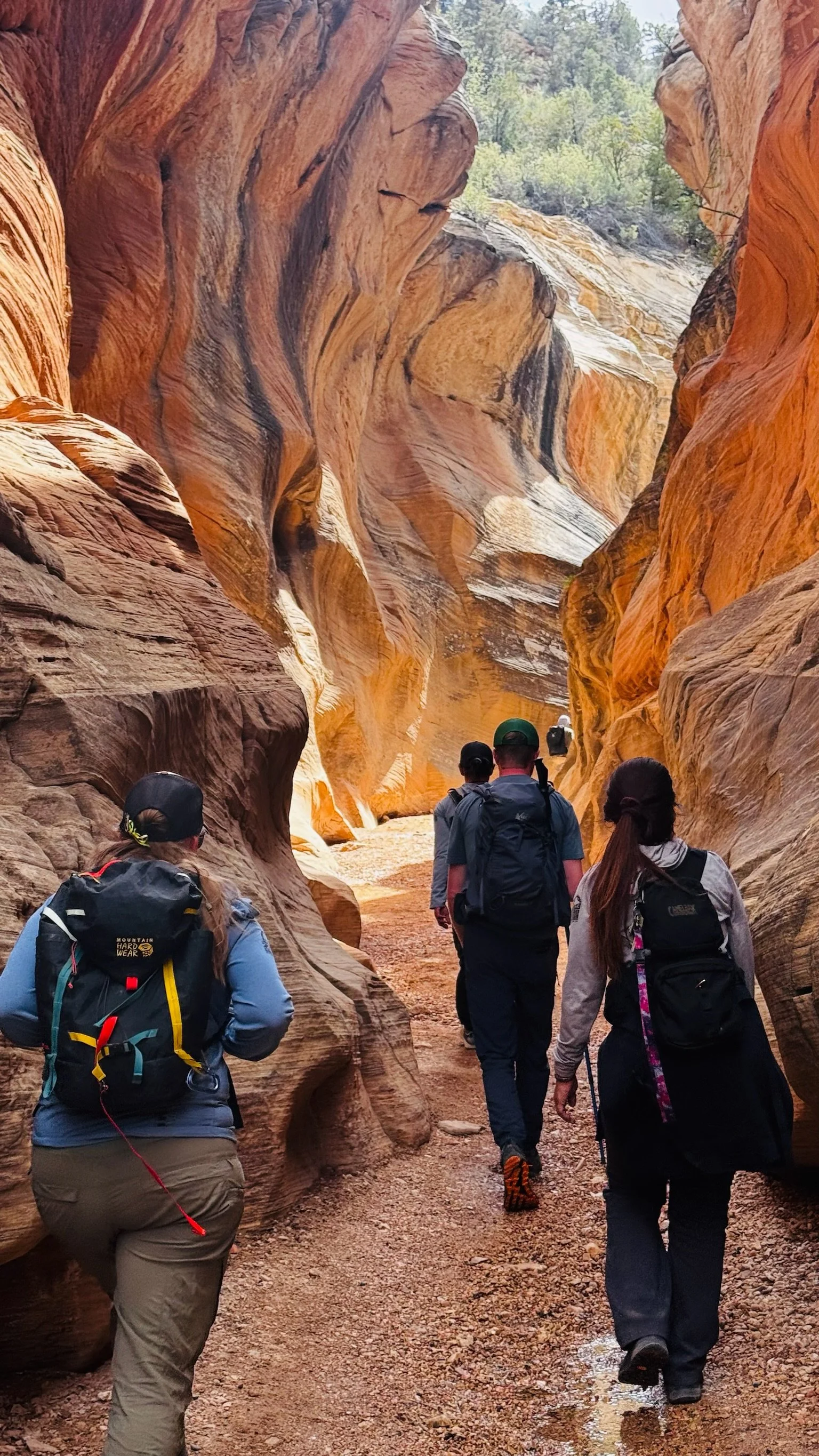 Group of hikers walking through a narrow canyon with colorful, swirling rock walls.