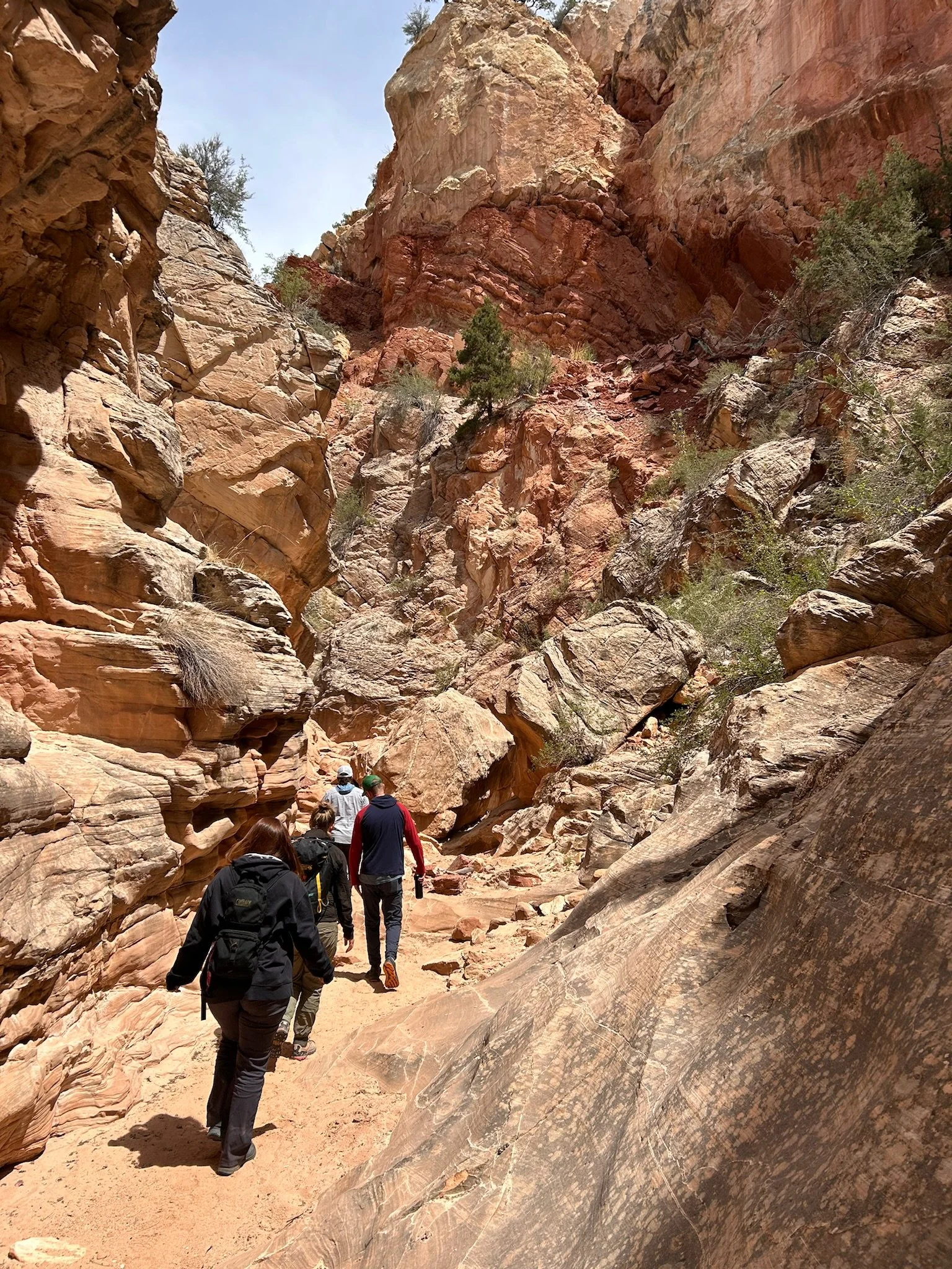A group of five people hiking through a narrow canyon with tall, reddish-brown rock walls and sparse desert vegetation.