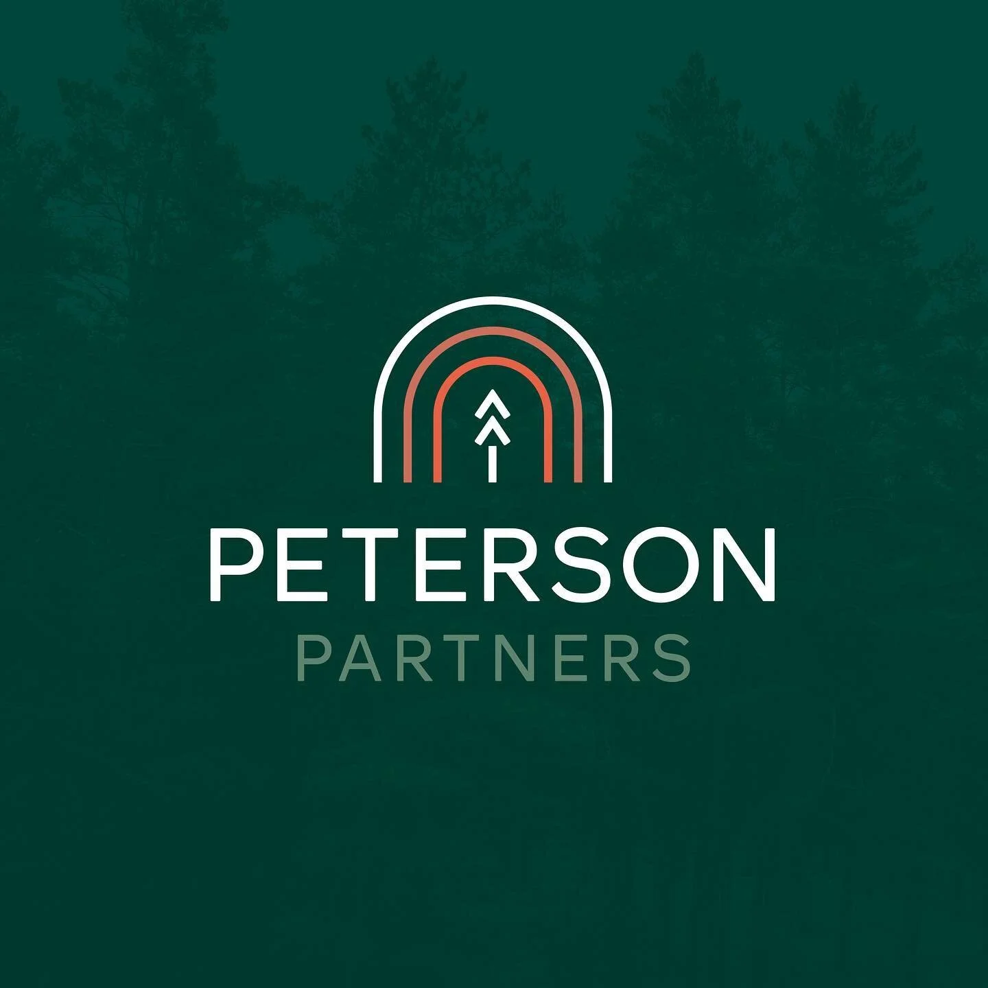 I&rsquo;m SO excited to highlight July&rsquo;s brand identity design &amp; web client - Peterson Partners, LLC! 🤩 Happy launch day, Peterson Partners! We built this brand from the ground up with a full Brand Identity Design &amp; Web project package