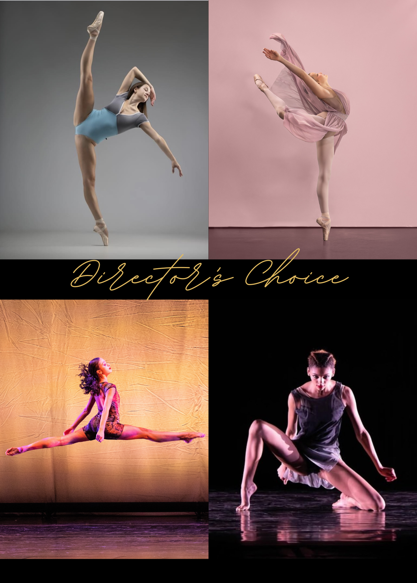 Director's Choice 2026.png