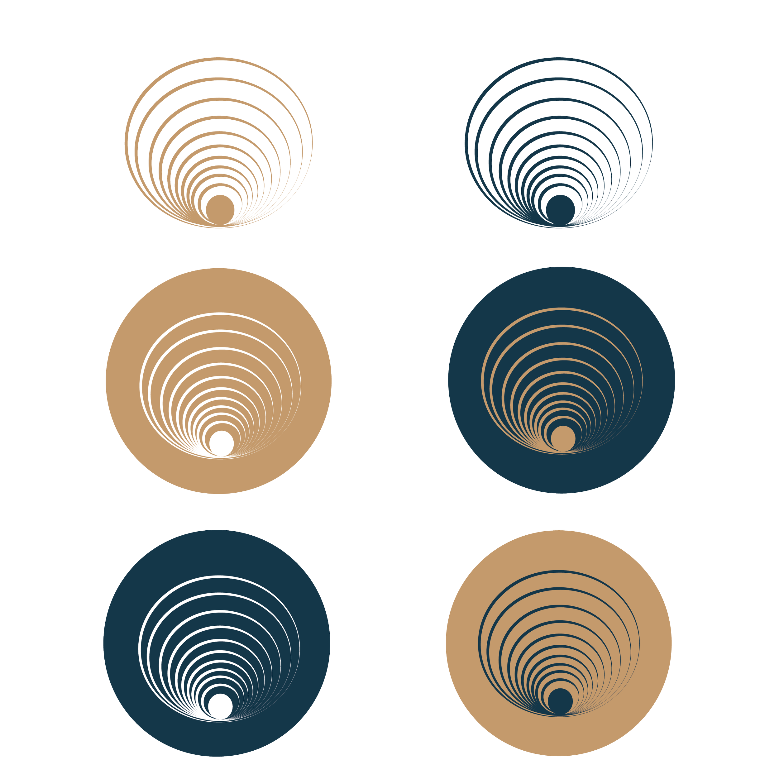 Final Zest Logo Deliverables-ALL_Brand Mark- All variations.png