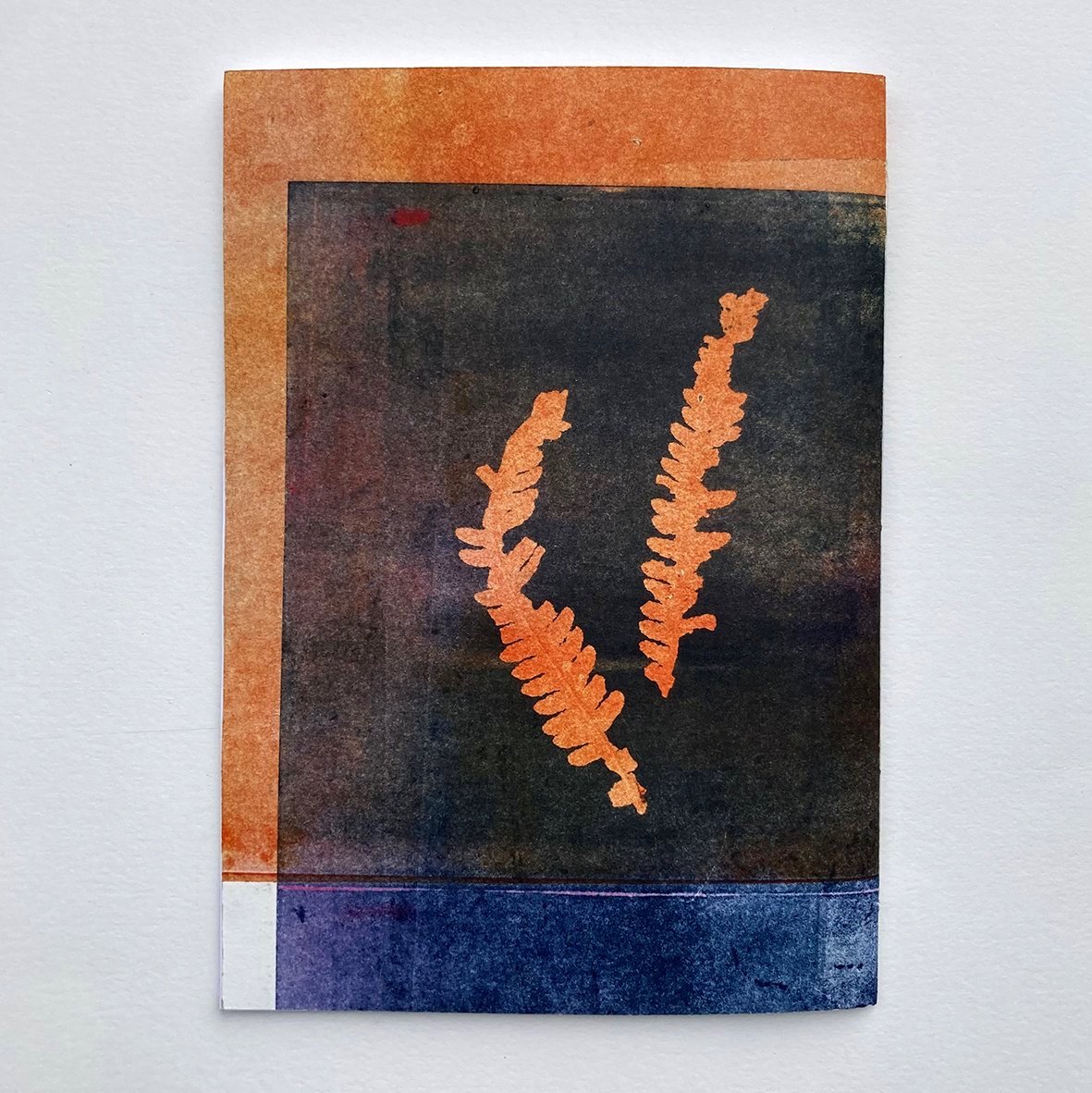 orangefernnotebookback1.jpg