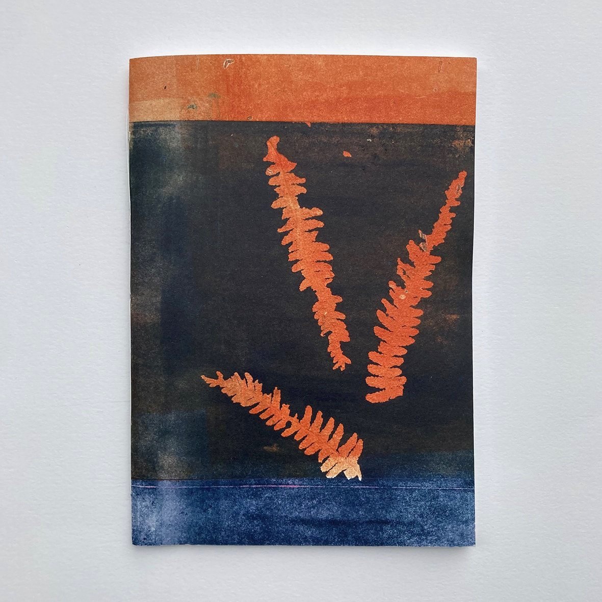 orangefernnotebook1.jpg