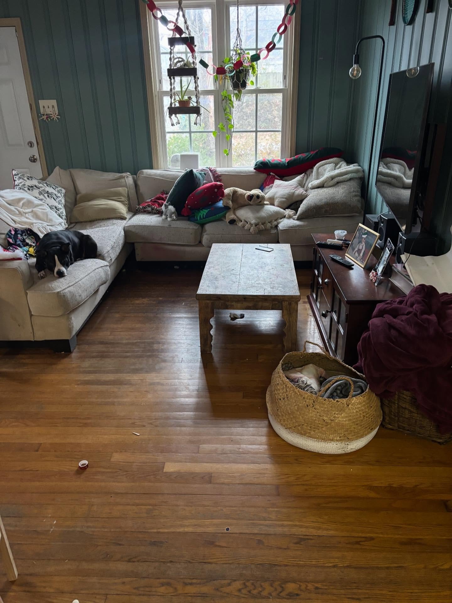 Swipe ➡️ to tidy! Tis the season for all things festive! 🎄✨ #merryandbright #housekeeping #allnatural #greencleaning #sofreshandsogreengreen🌱  #sfsghousekeeping #livinglife