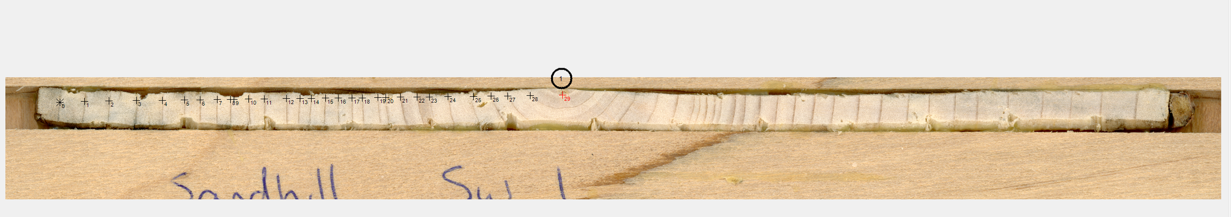 A high resolution scan of our tree core.