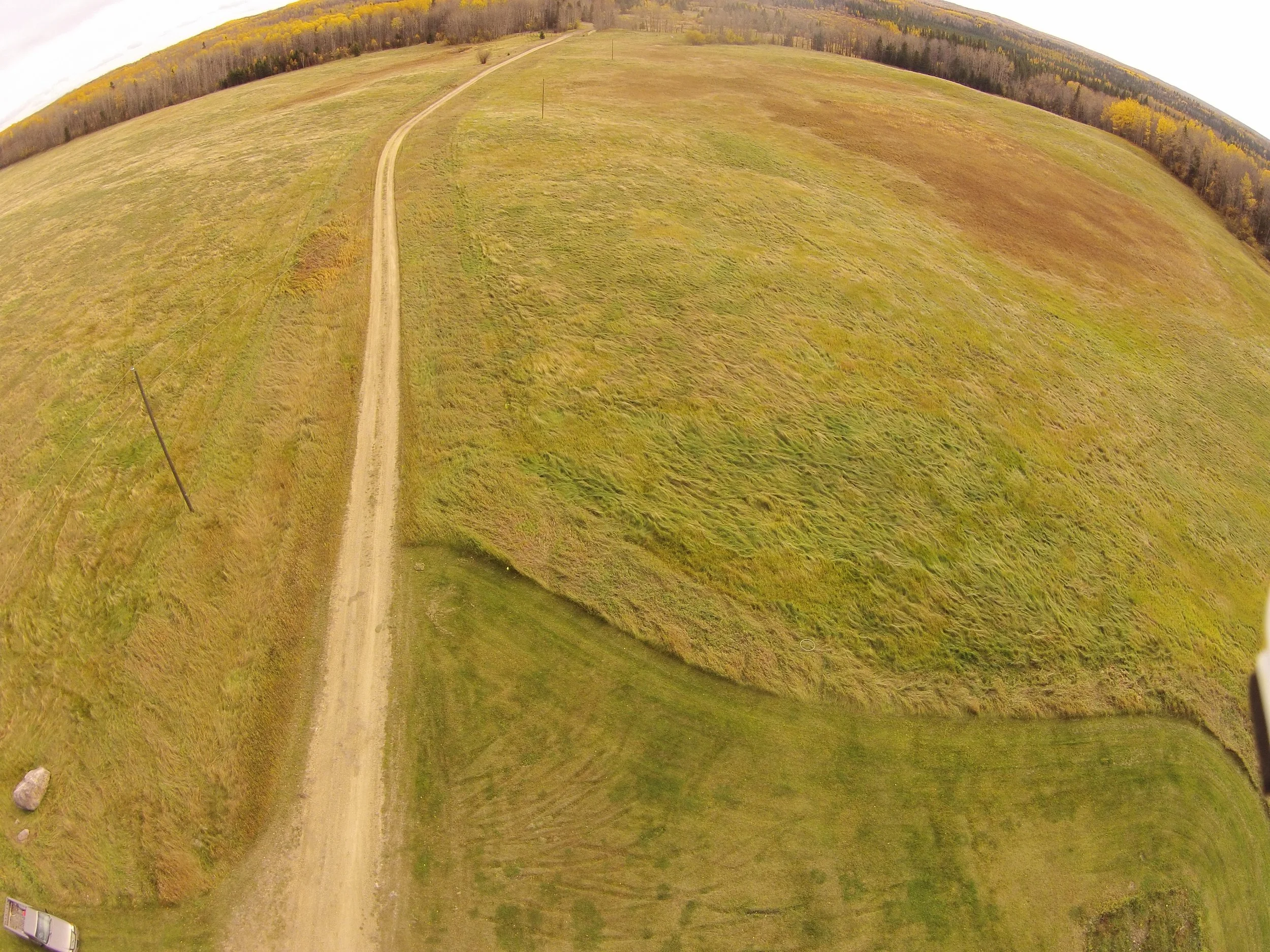 Sandhill Woods, our company's woodlot.