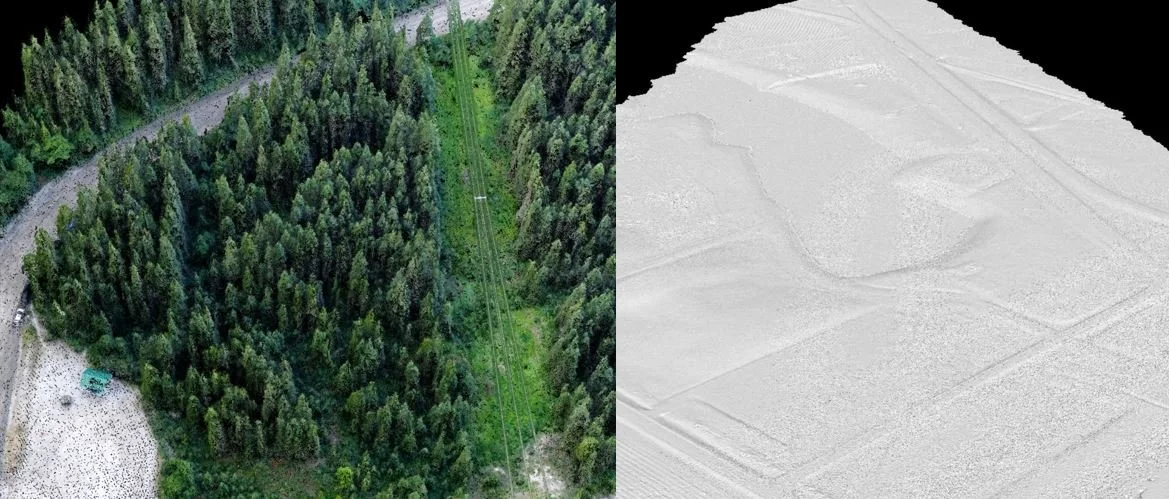 Initial stages of combining drone and terrestrial LiDAR data.